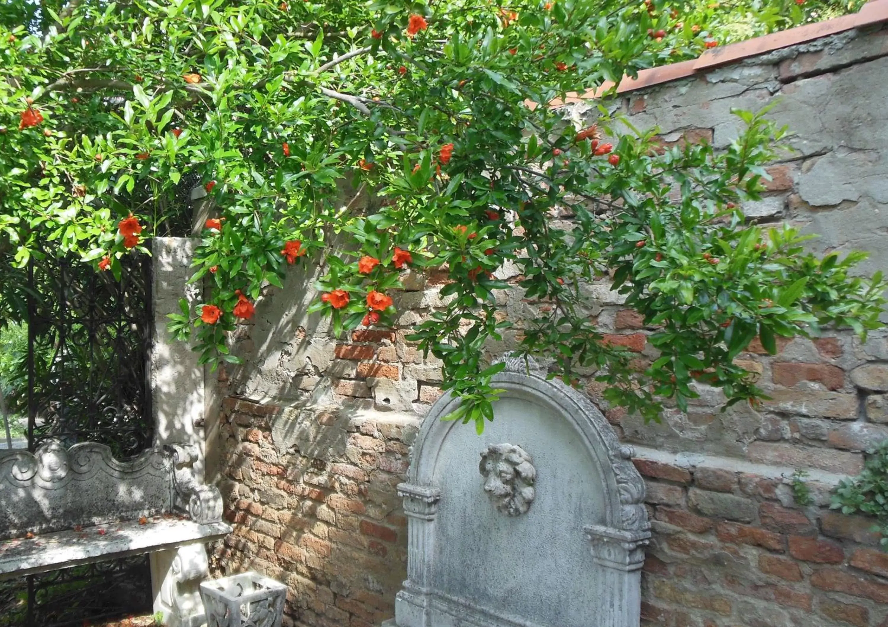 Garden in Hotel Sant'Antonin