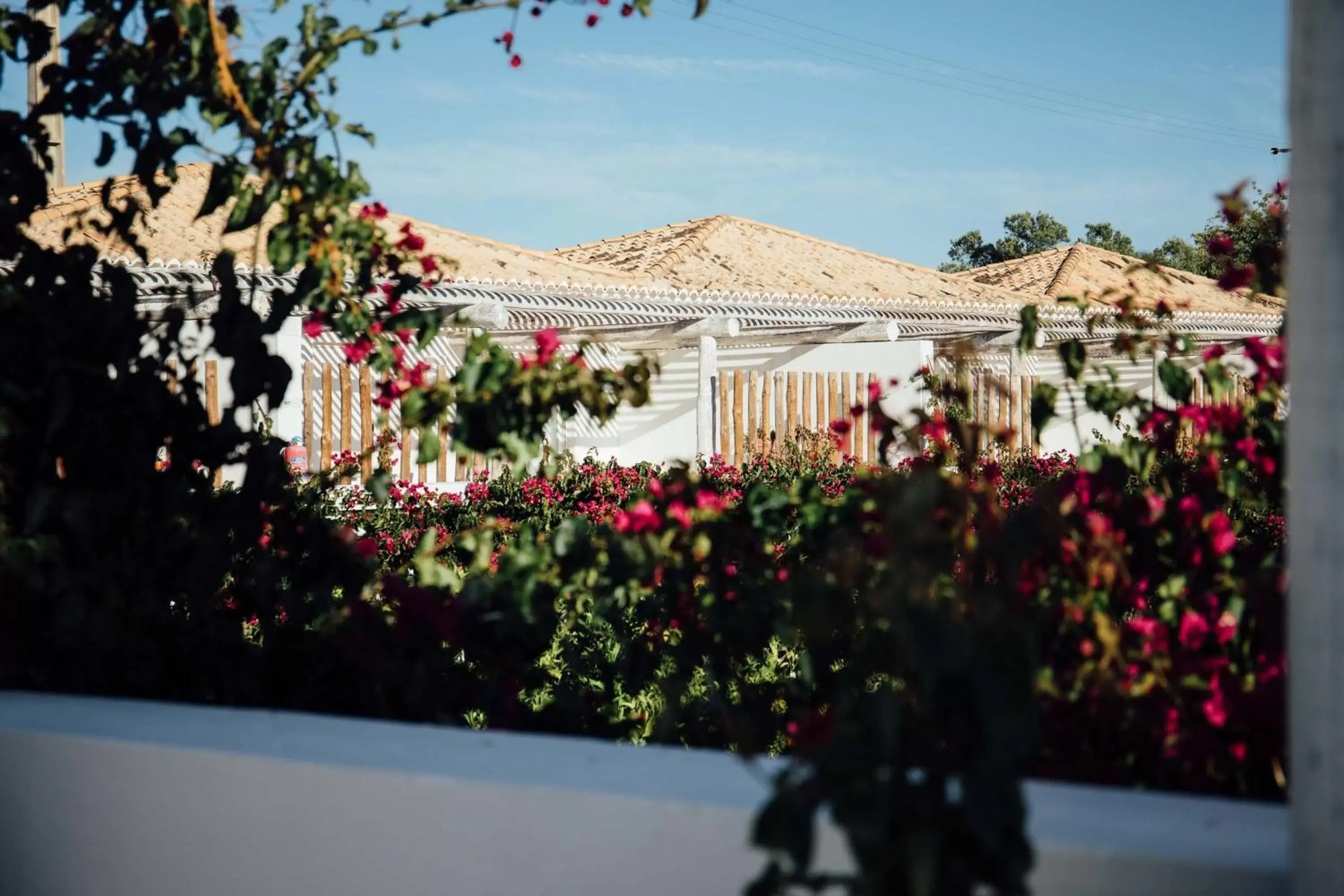 Garden view in Octant Vila Monte