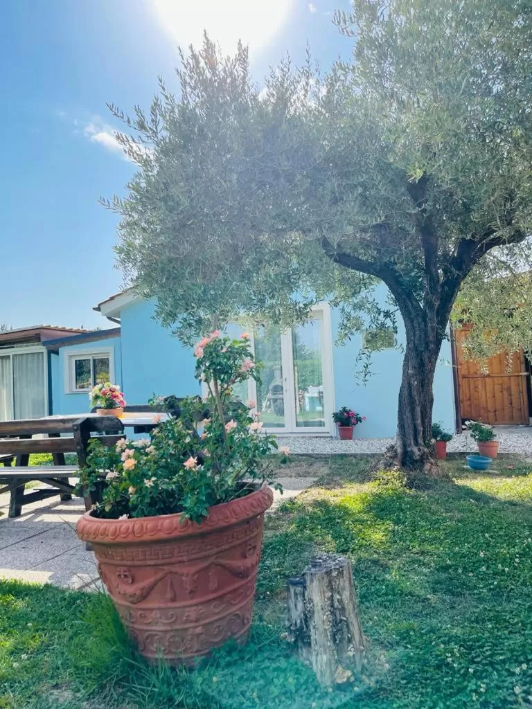 Garden in BeB La Rosa Nel Verde