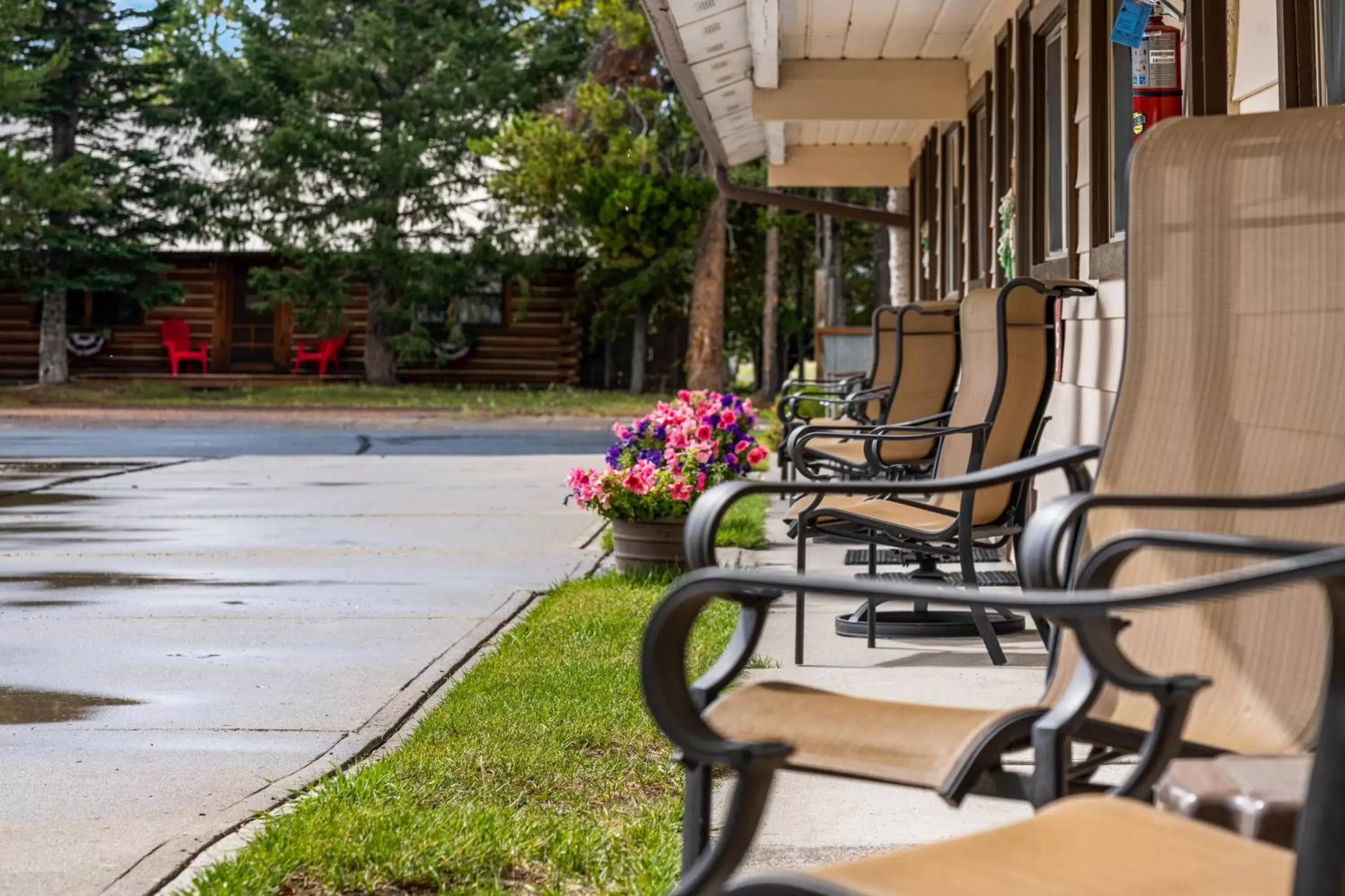 Property building in Lazy Duck Inn