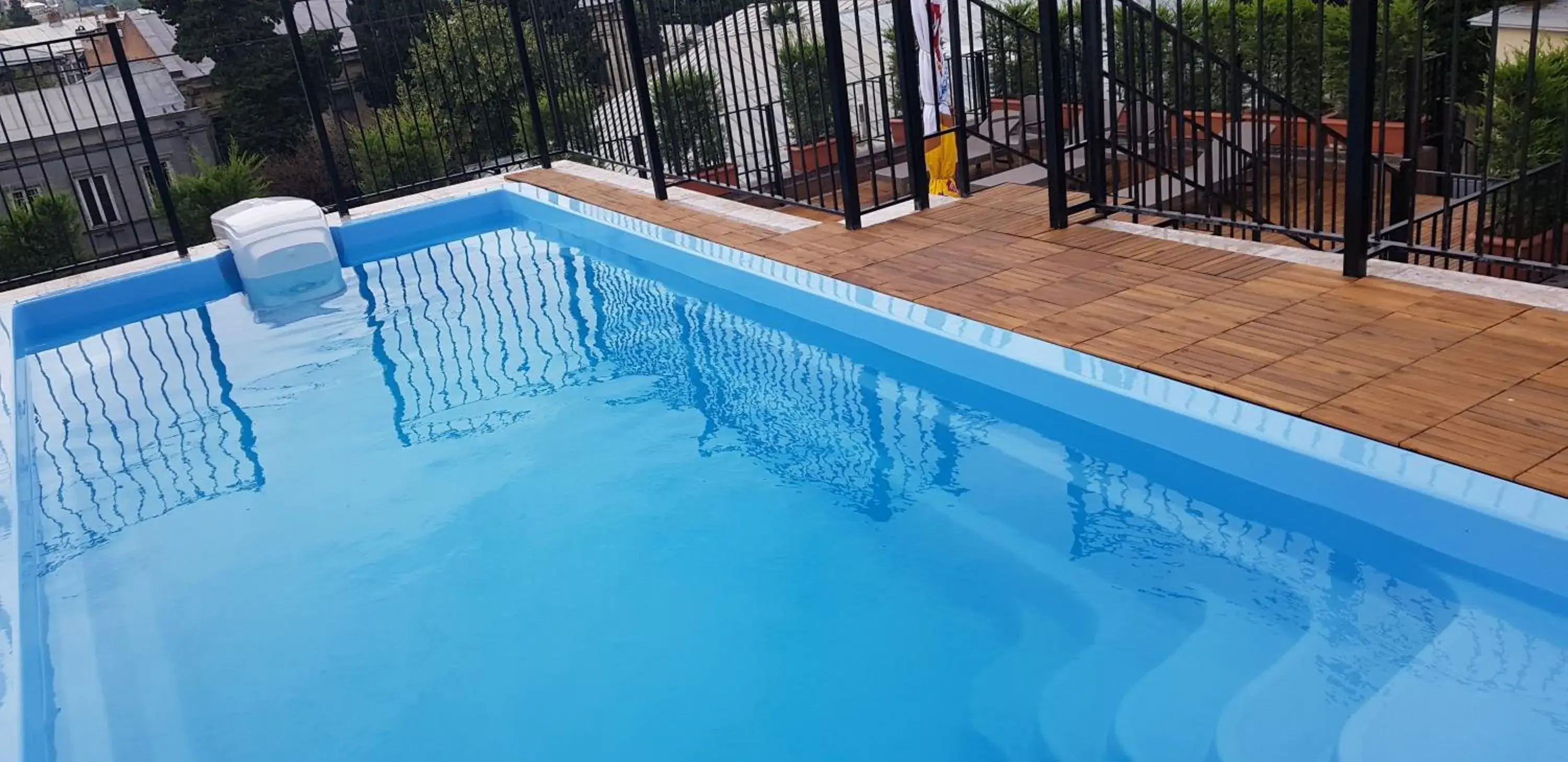 Pool view, Swimming Pool in Hotel ZP Palace