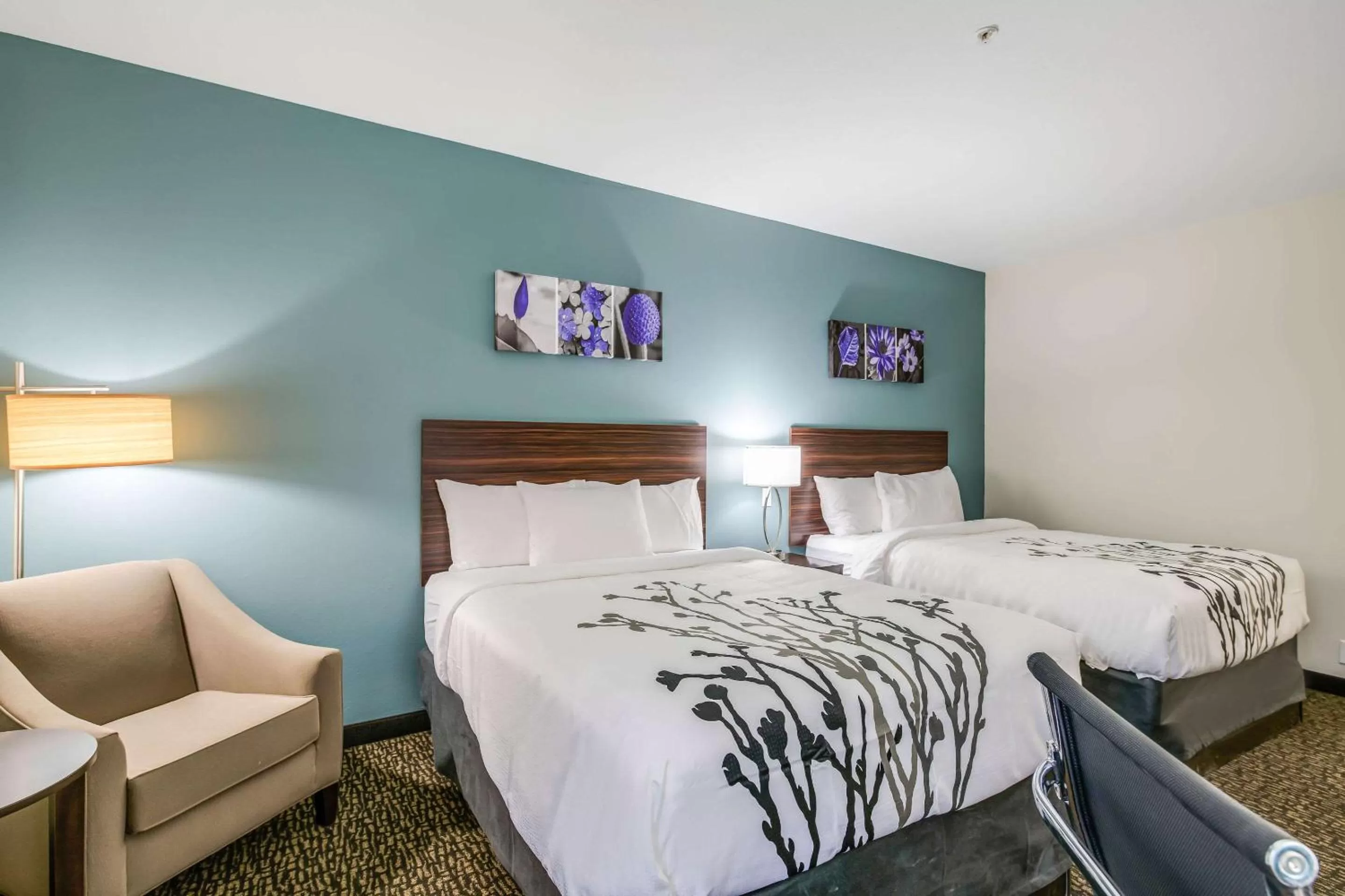 Photo of the whole room, Bed in Sleep Inn Clovis