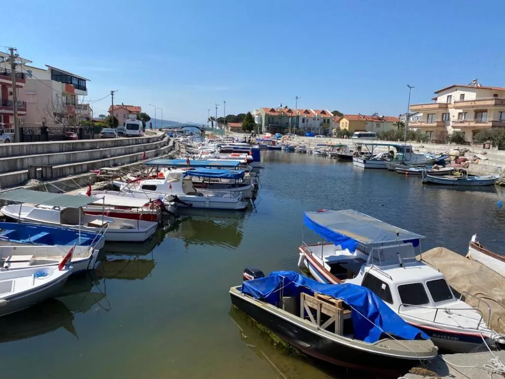 Neighbourhood in Sakran Hotel