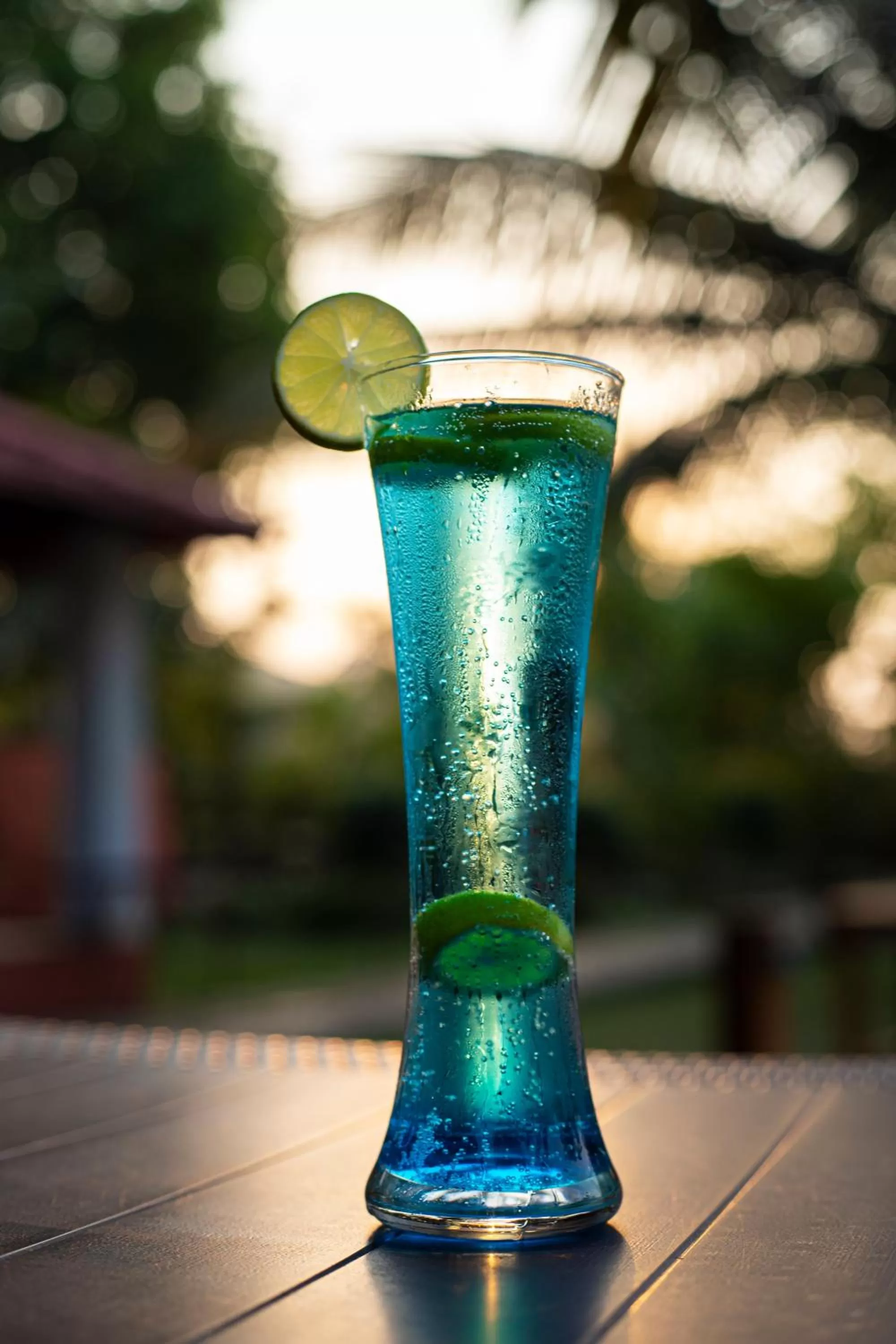 Food and drinks in Wild Berry Resort Agonda