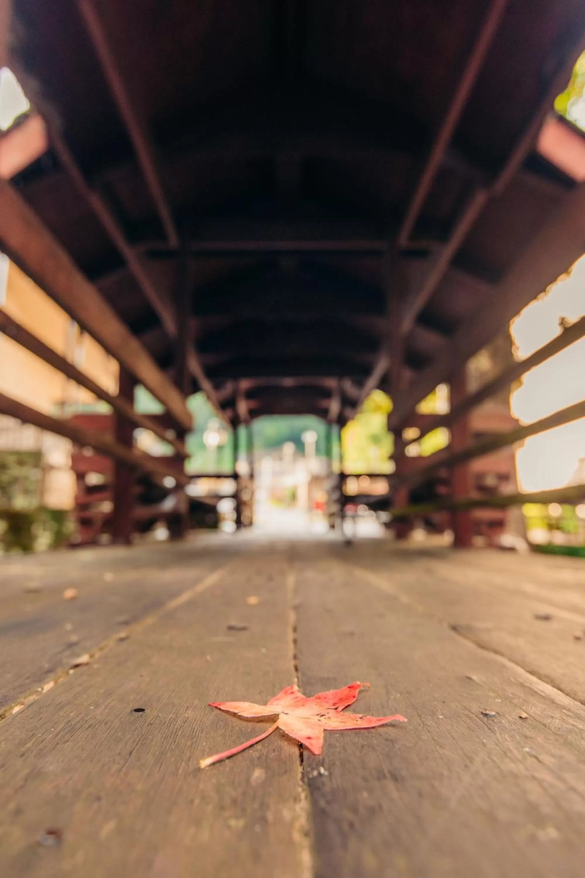 View (from property/room) in Brookside Lodge