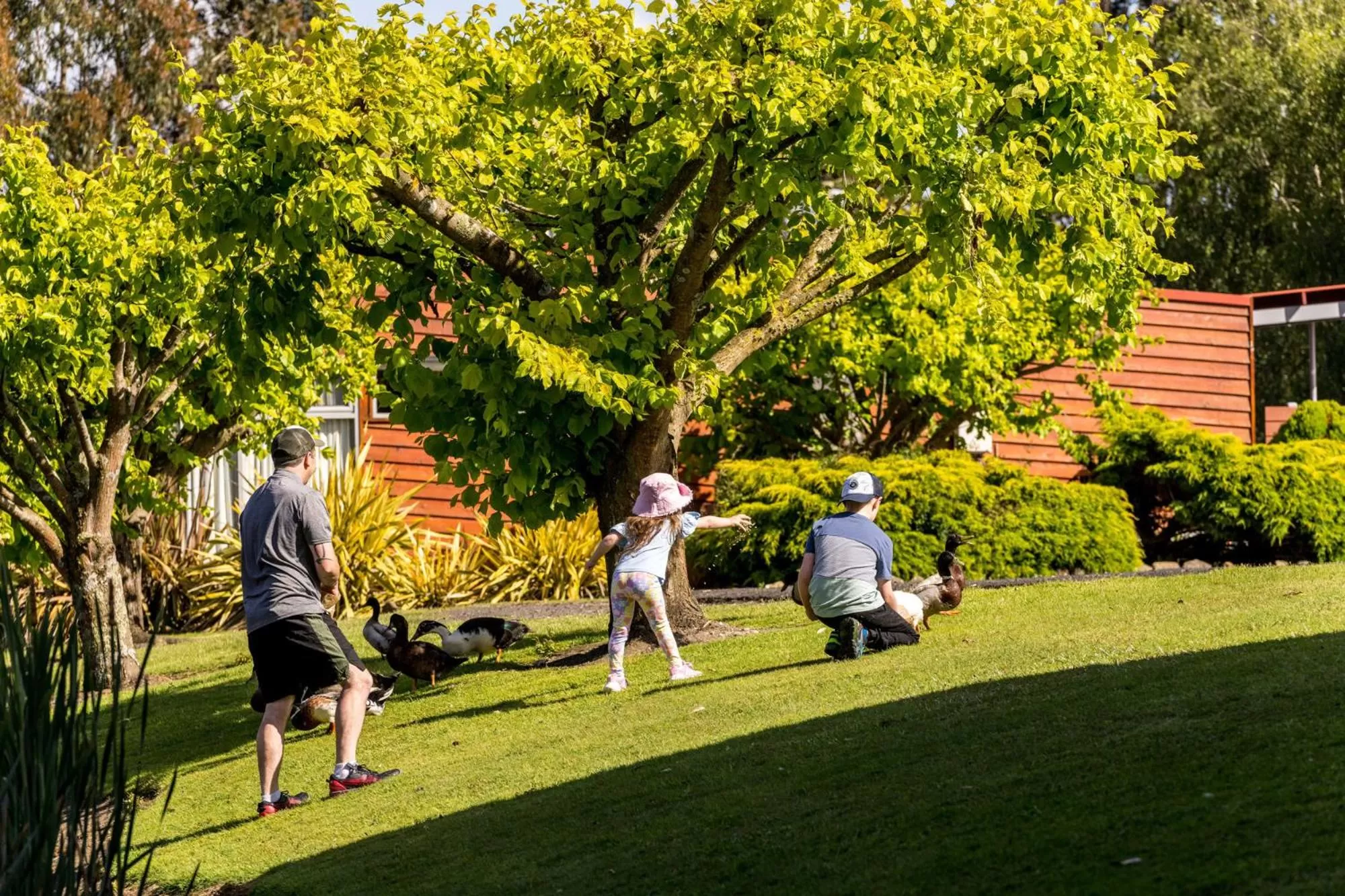 Garden in Tall Timbers Tasmania