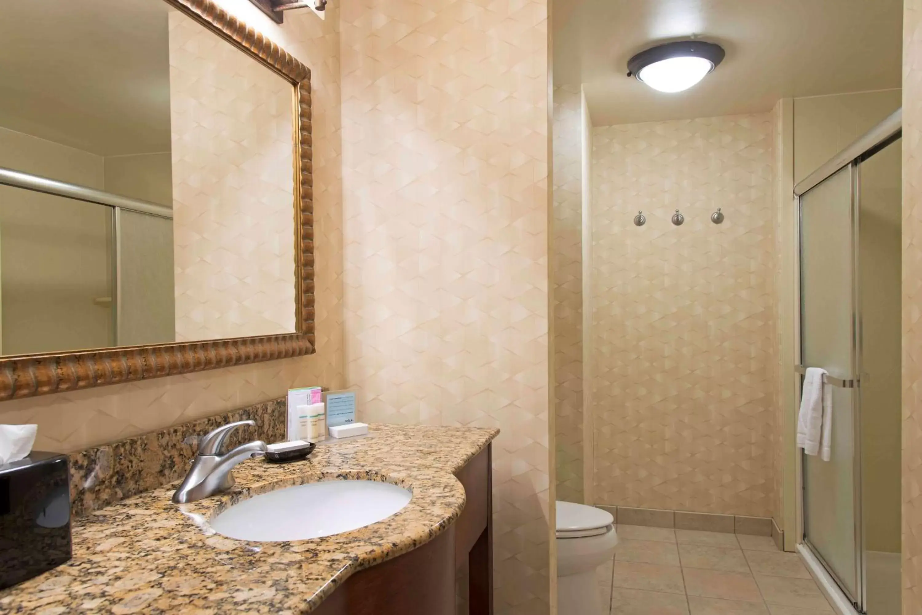 Bathroom in Hampton Inn and Suites Indianapolis-Fishers