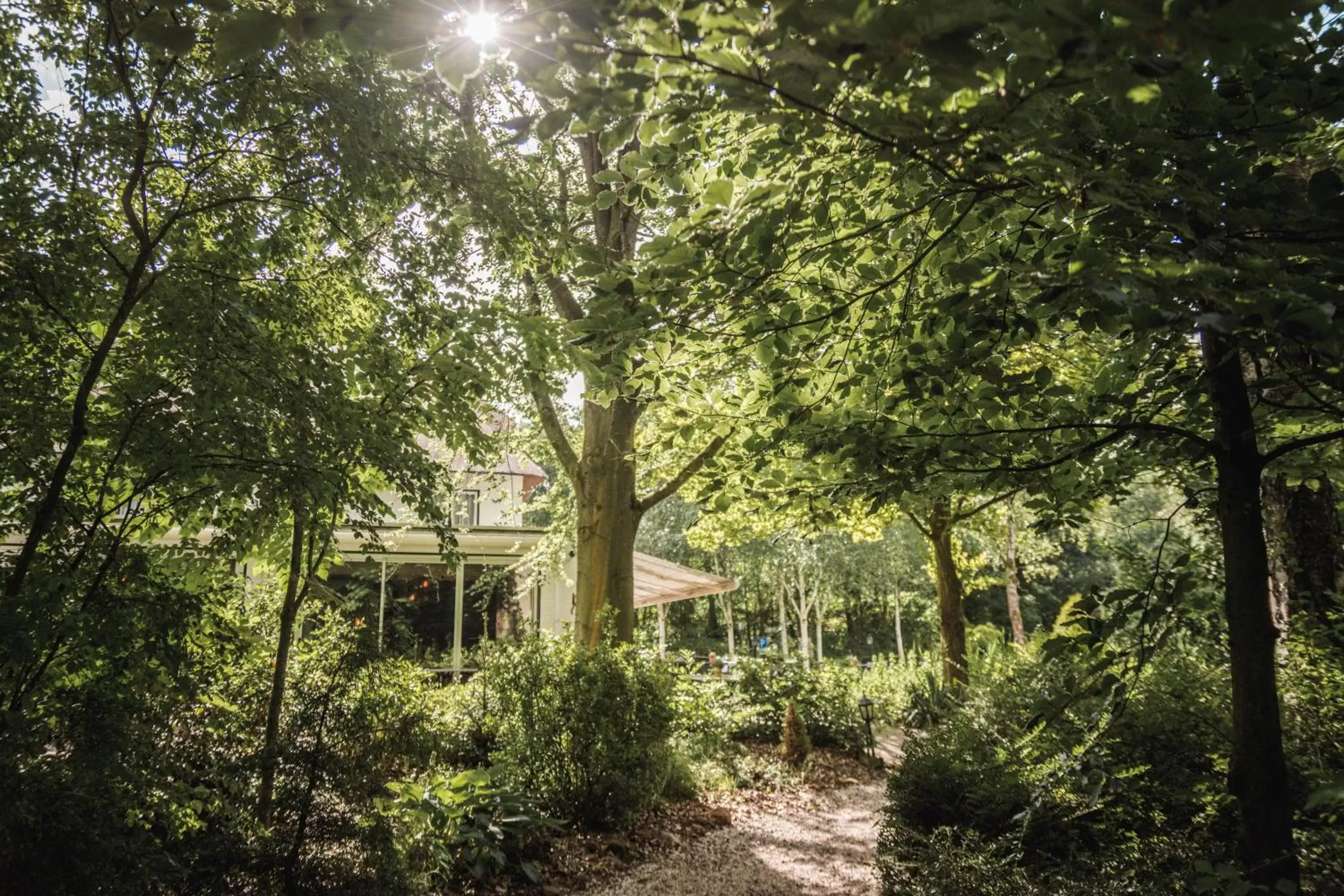 Garden, Property Building in Witte Berken Natuurhotel