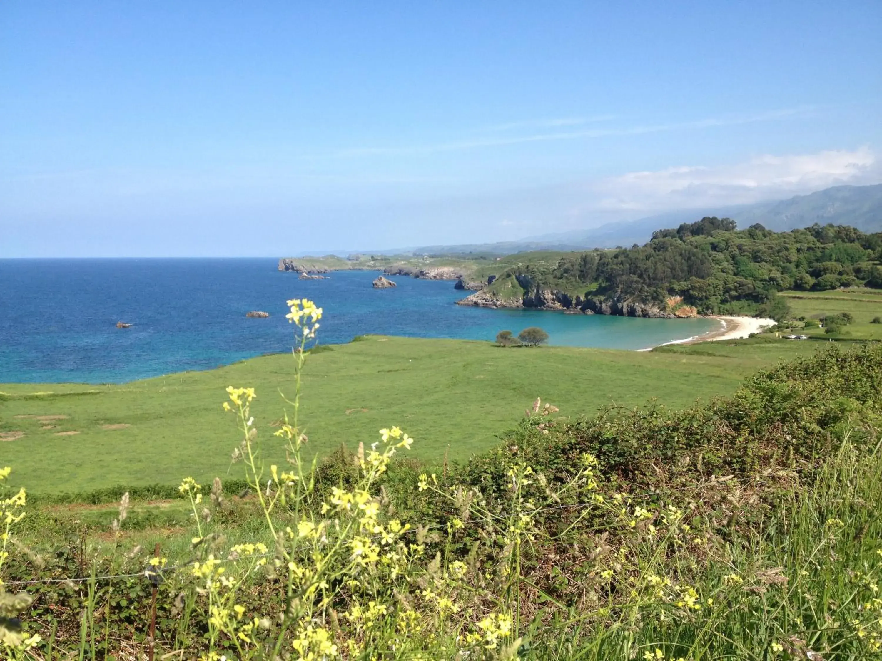 Area and facilities in Las Rocas