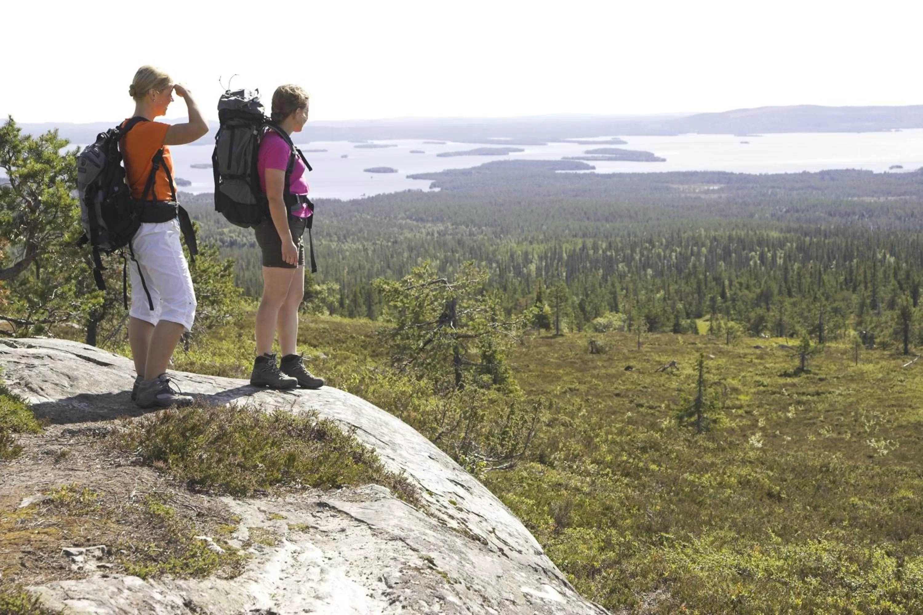 Hiking in Lapin Satu