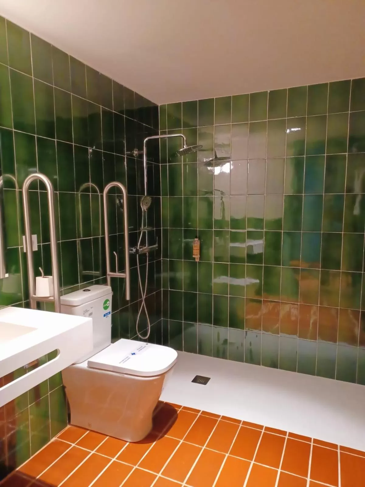 Shower, Bathroom in Terra Aurea Aparthotel