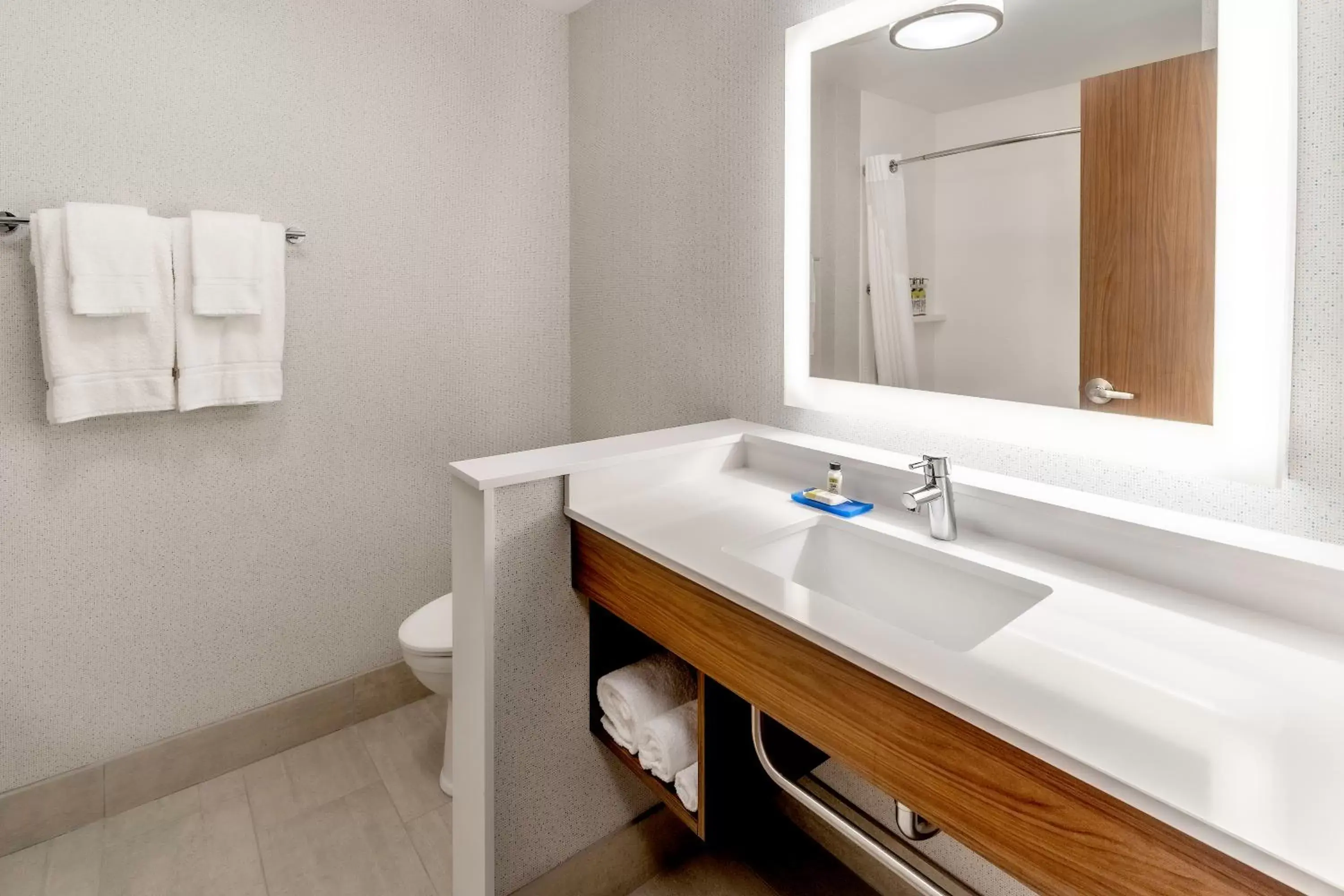 Bathroom in Holiday Inn Express & Suites - Milwaukee West Allis, an IHG Hotel