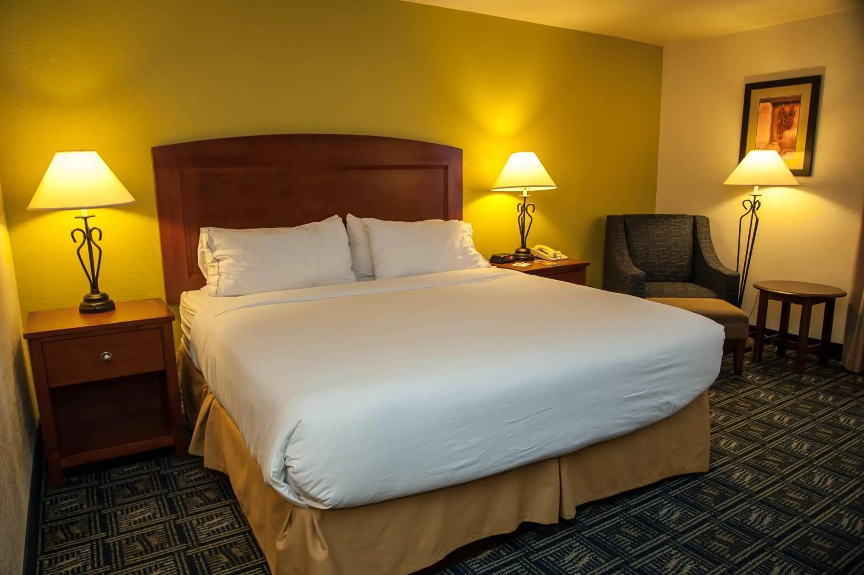 Bedroom, Bed in Holiday Inn Express Tucson-Airport, an IHG Hotel