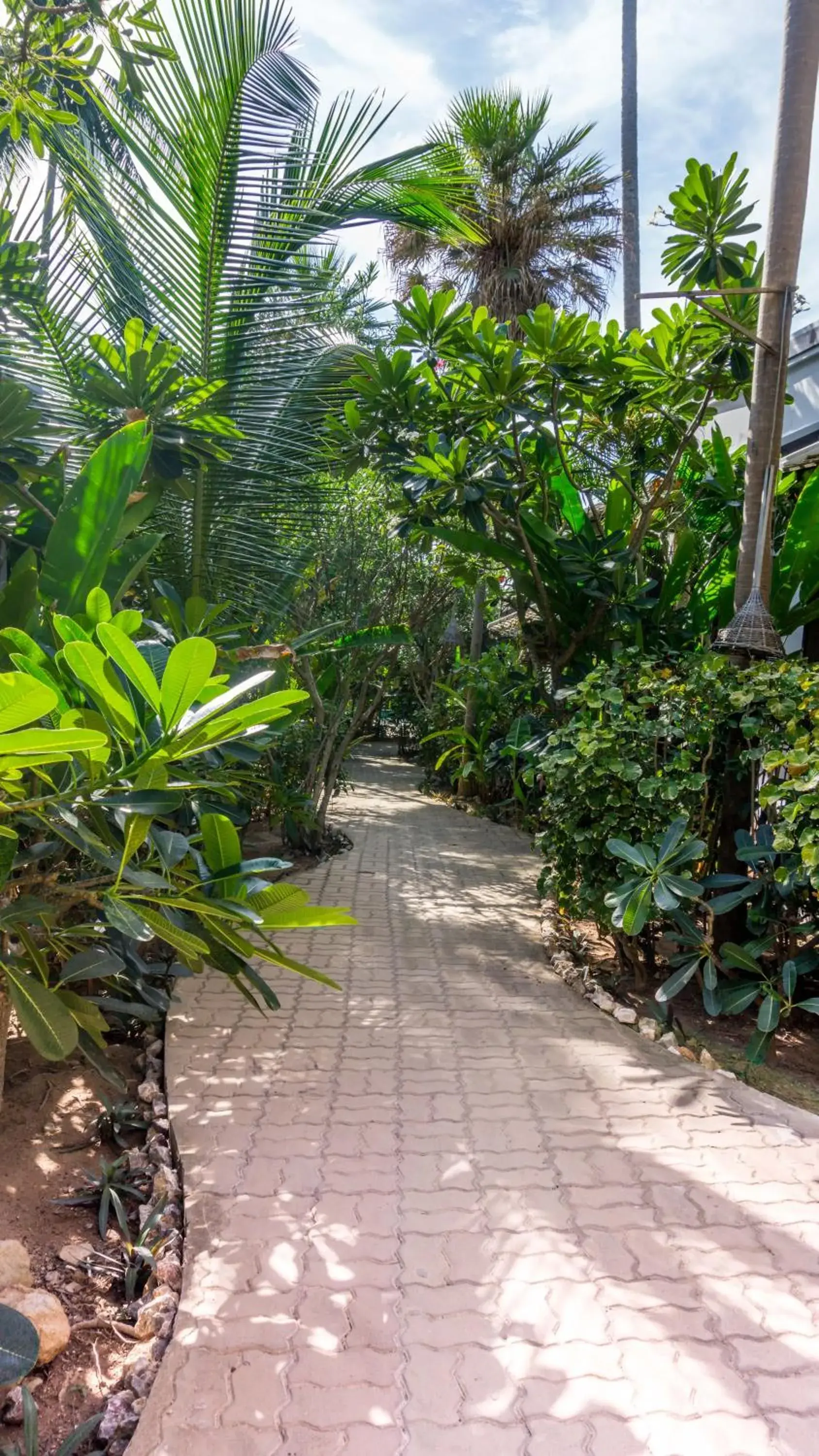 Garden in Sasitara Residence