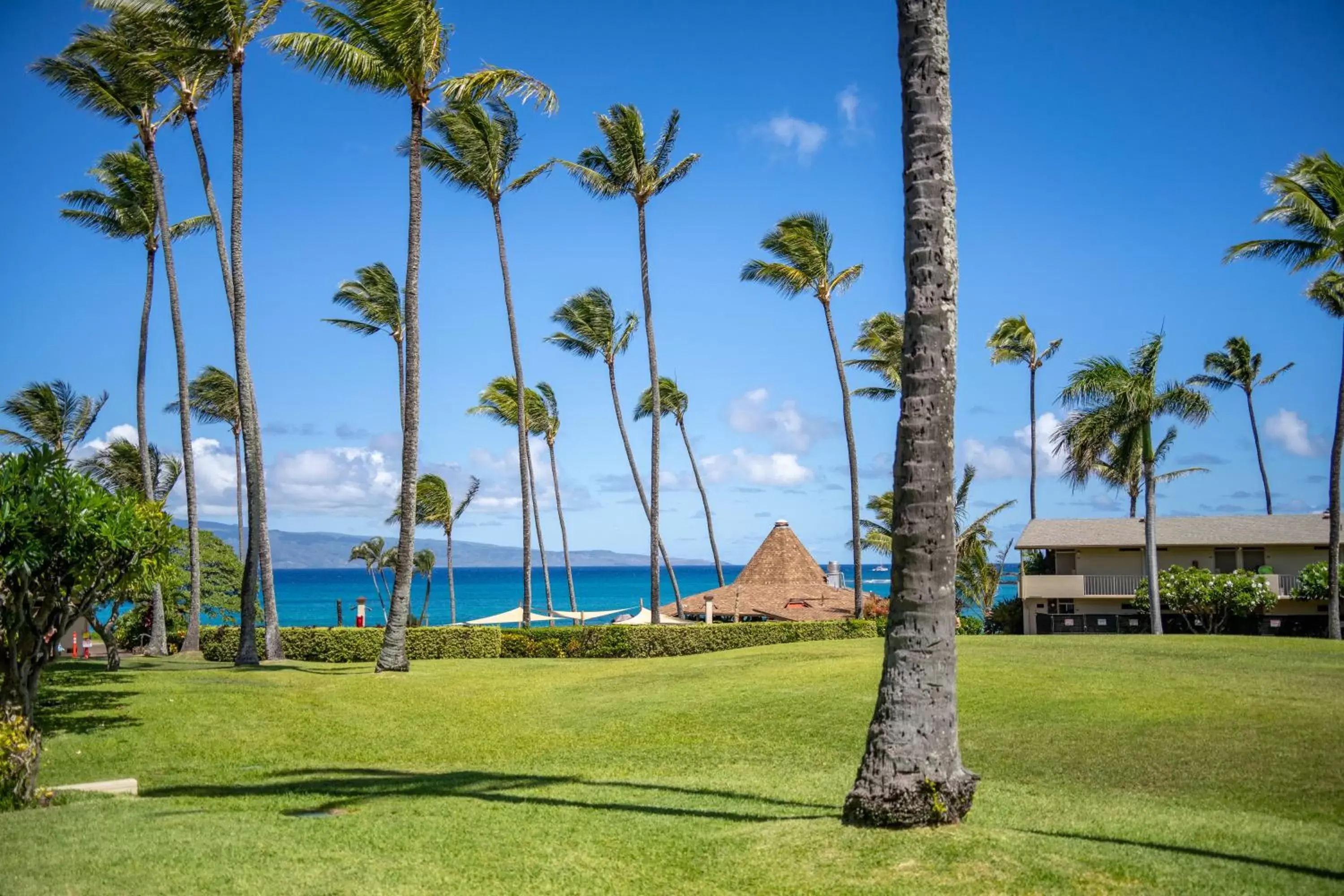 Napili Shores Maui by OUTRIGGER - No Resort & Housekeeping Fees