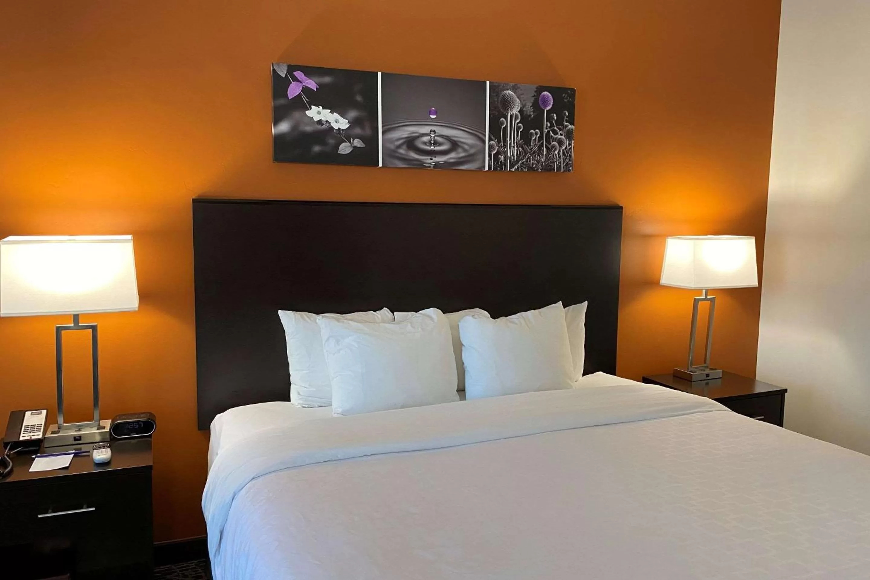 Photo of the whole room, Bed in Sleep Inn & Suites Hurricane Zion Park Area