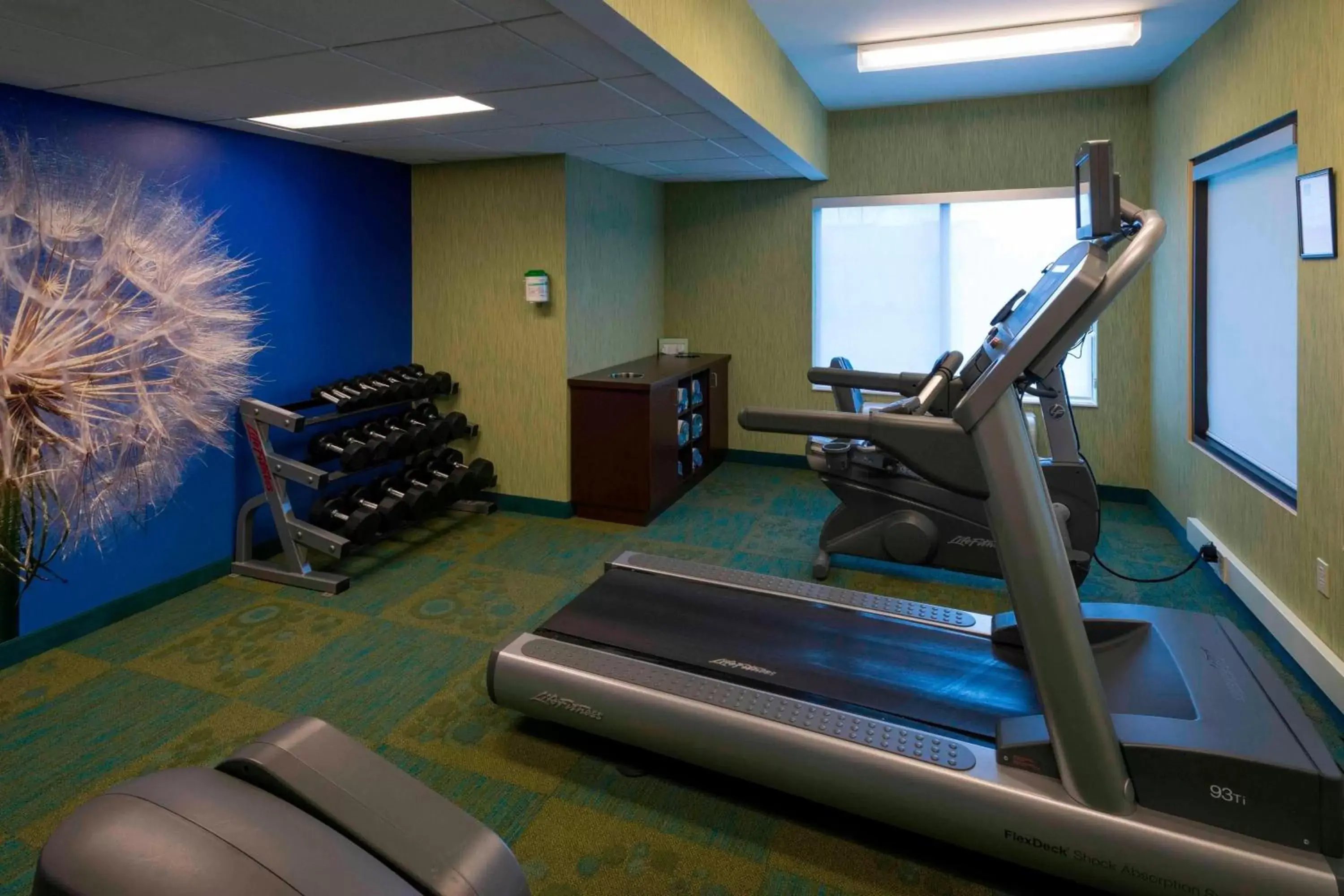 Fitness centre/facilities, Fitness Center/Facilities in SpringHill Suites Chicago Bolingbrook