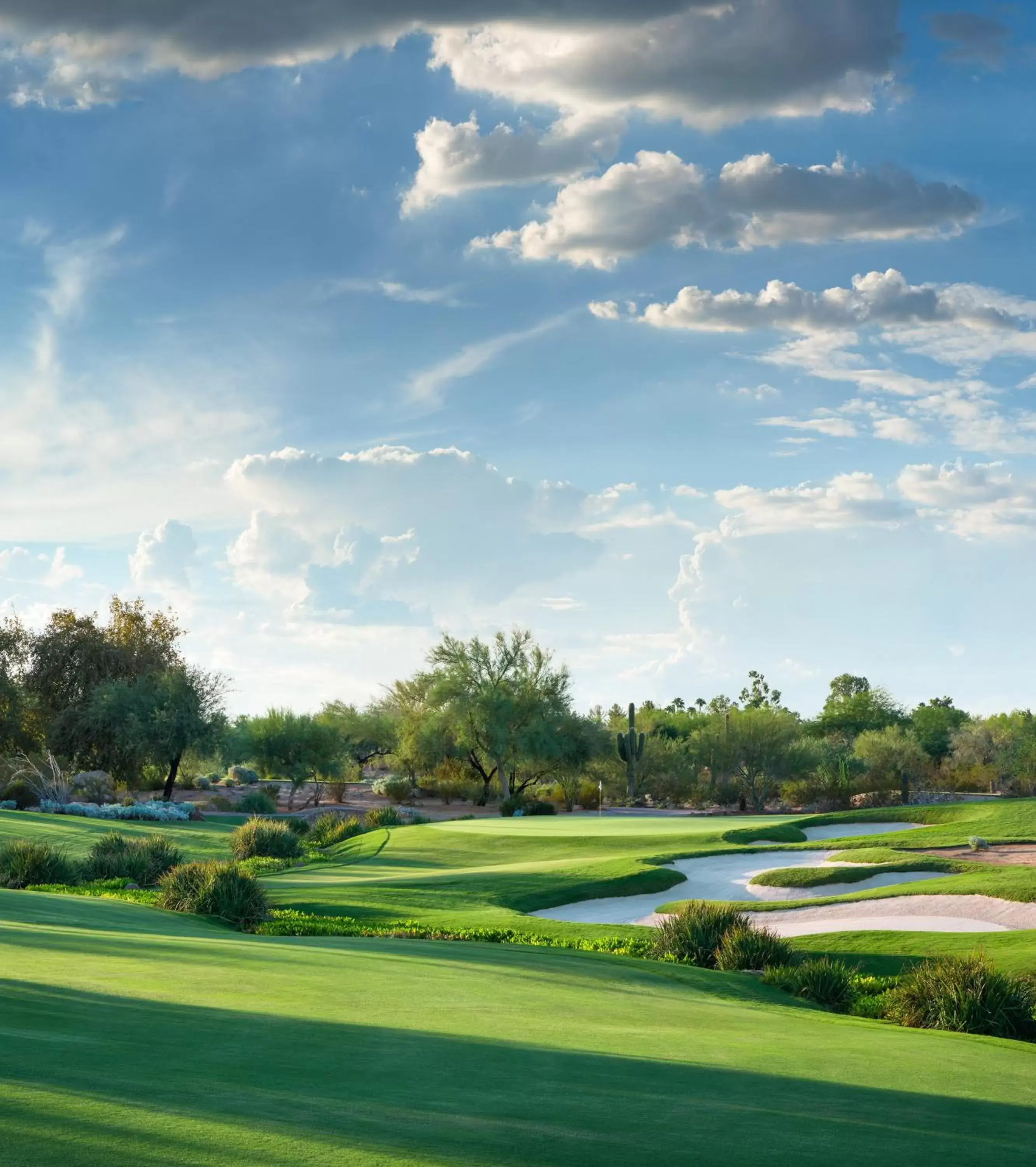 Golfcourse, Golf in Fairmont Scottsdale Princess