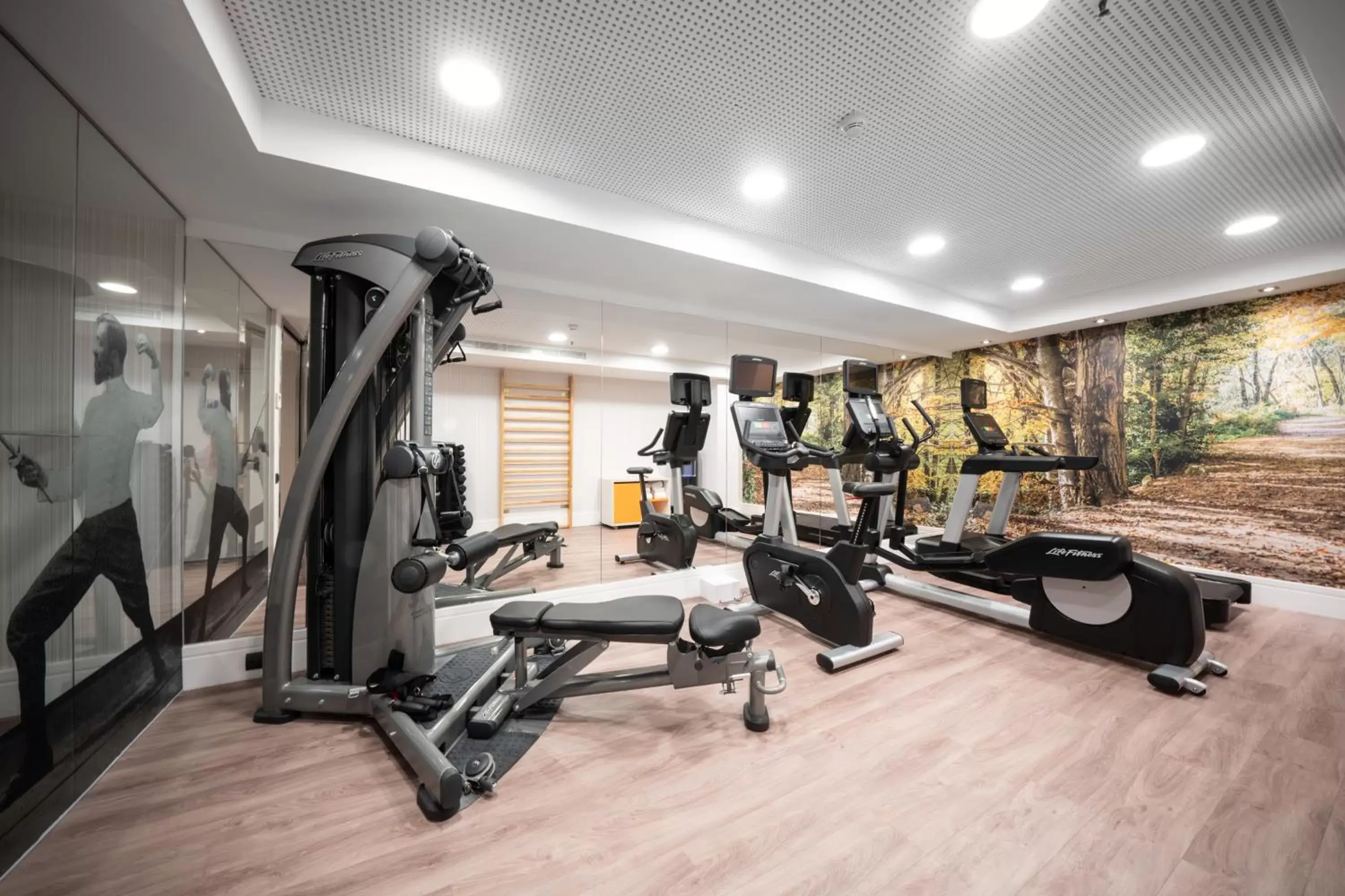 Fitness centre/facilities, Fitness Center/Facilities in Catalonia Mikado