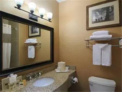 Bathroom in Big Country Hotel & Suites