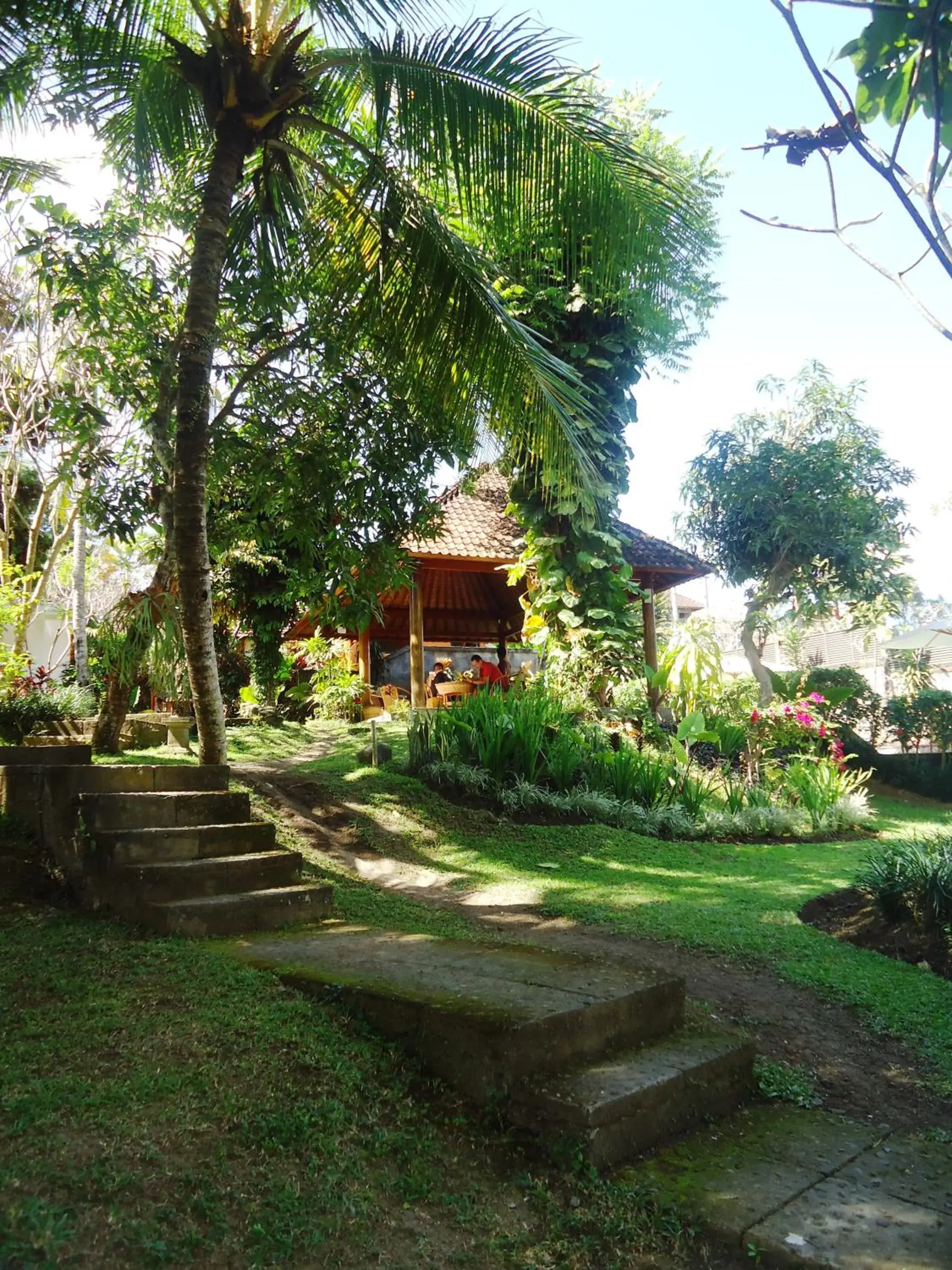 Natural landscape, Garden in Argasoka Bungalows