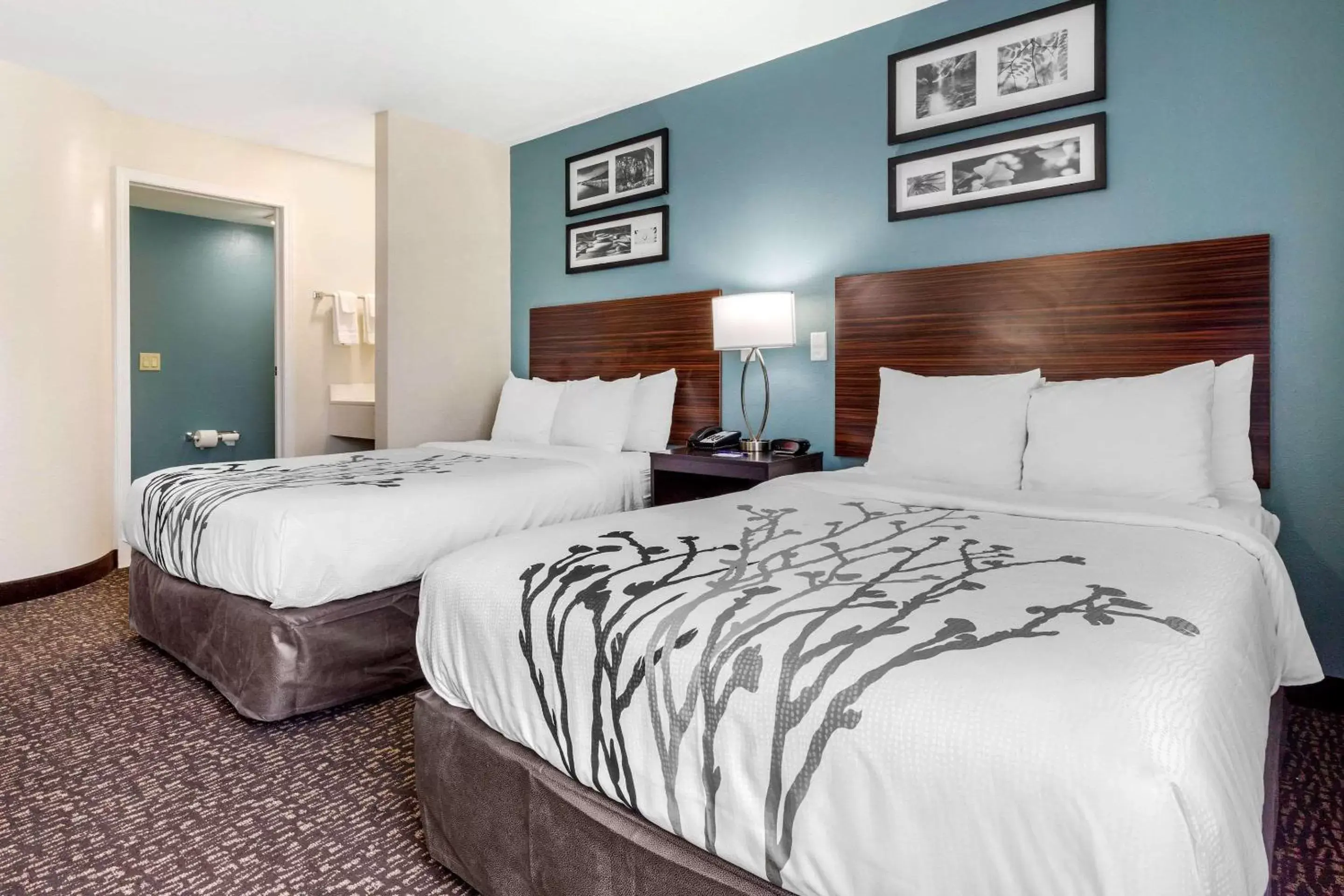 Bedroom, Bed in Sleep Inn & Suites Bedroom, Bed in Sleep Inn & Suites