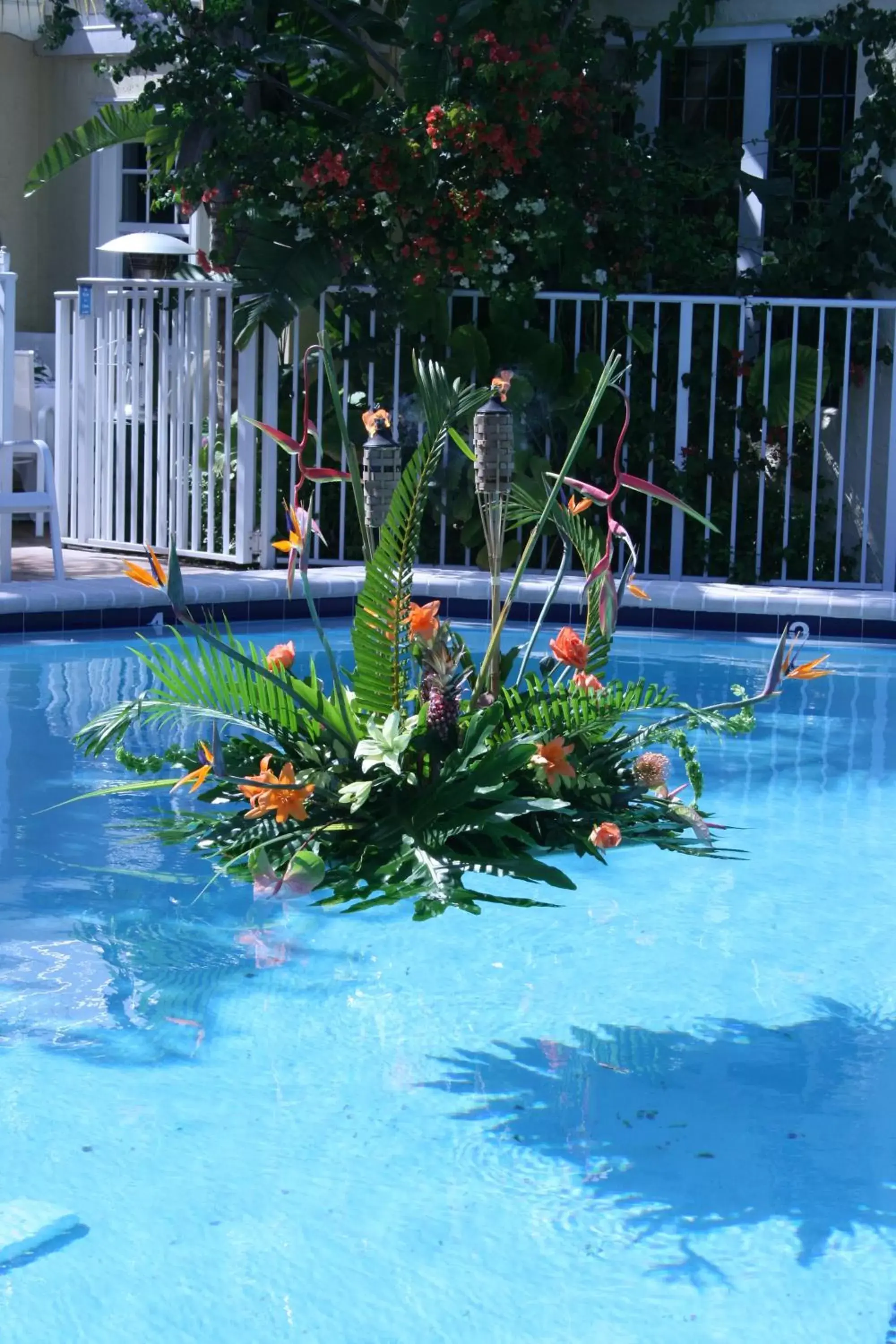 Day, Swimming Pool in The Caribbean Court Boutique Hotel