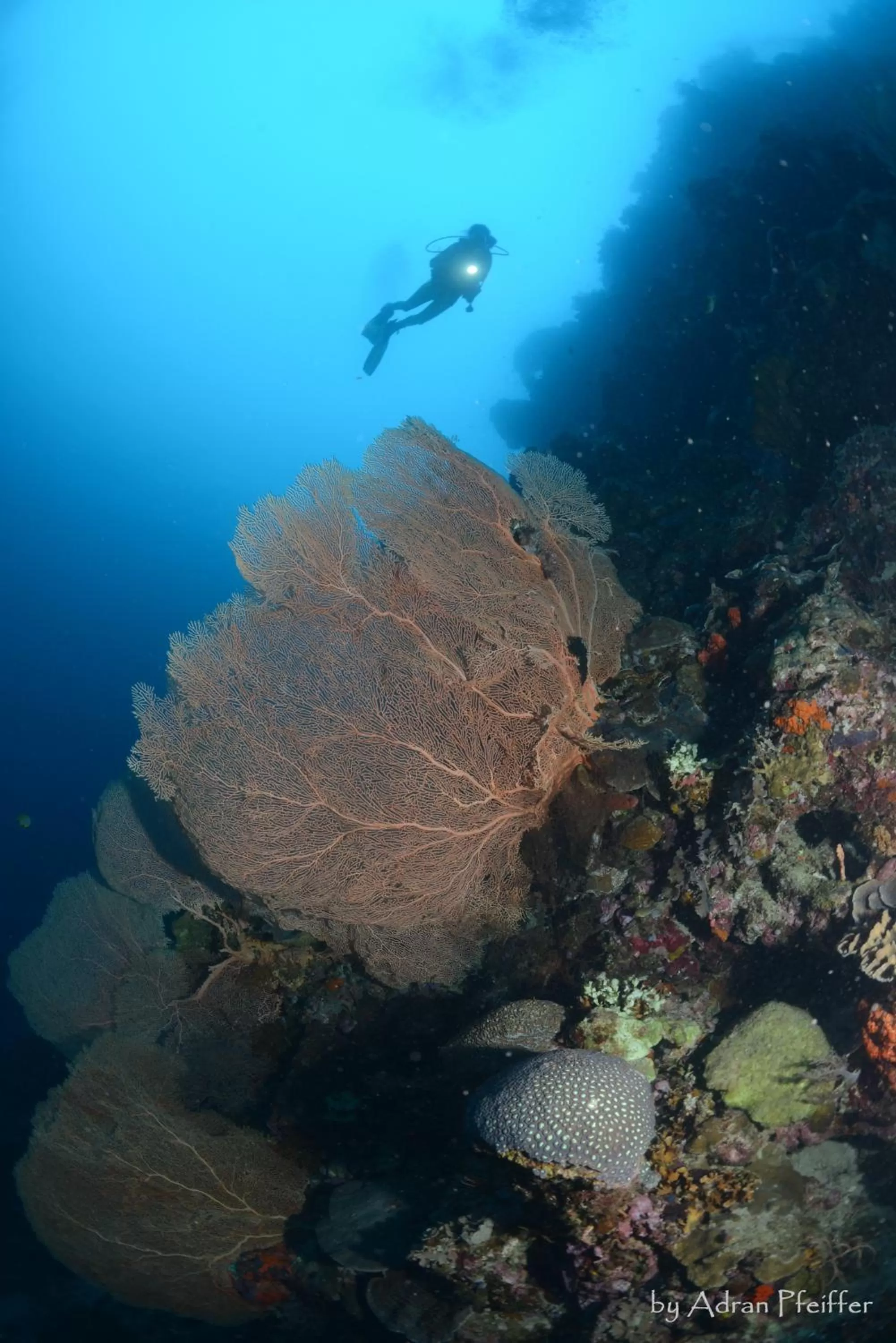 Diving in Naya Gawana Resort & Spa