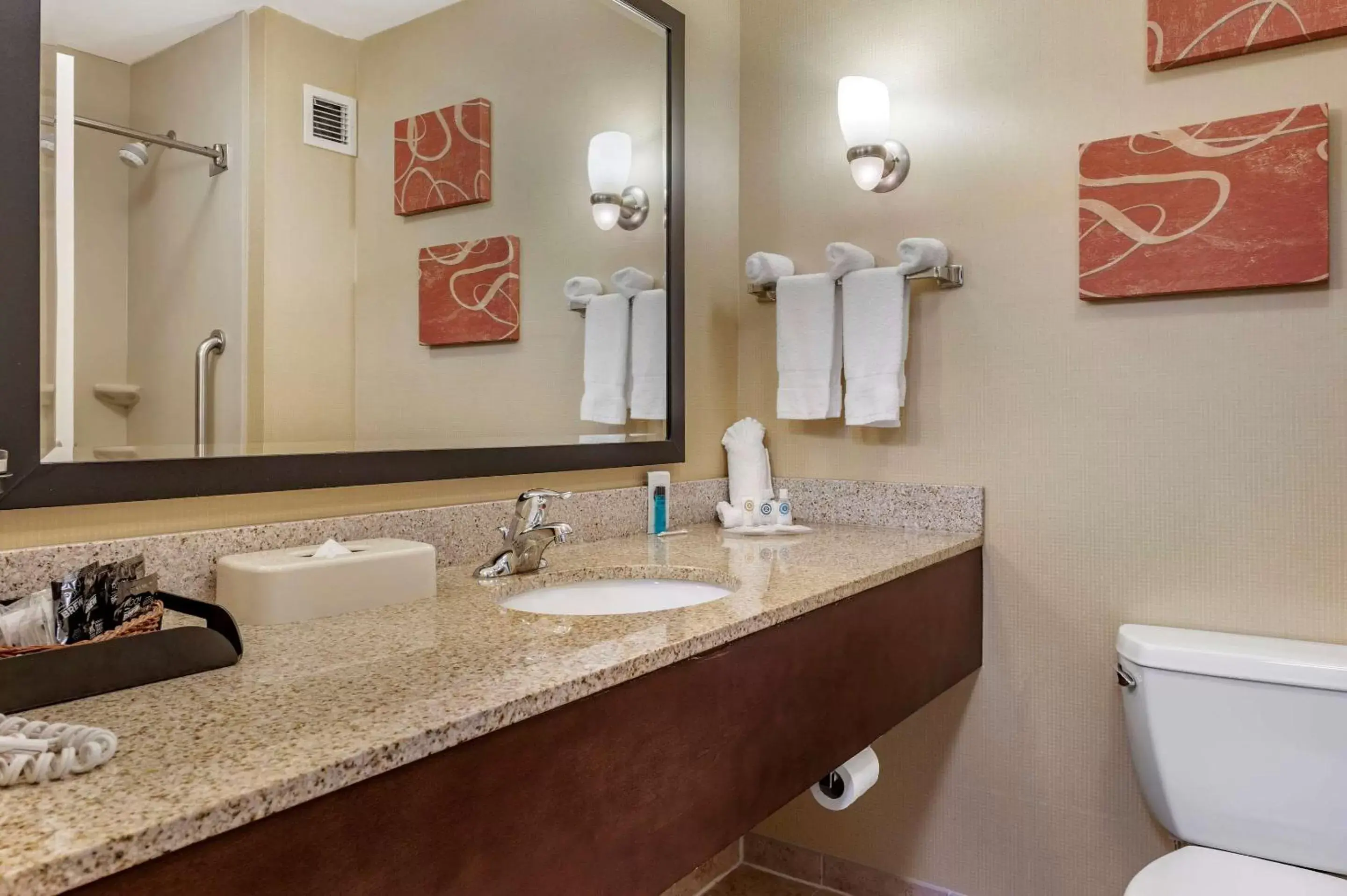 Photo of the whole room, Bathroom in Comfort Suites Urbana Champaign, University Area