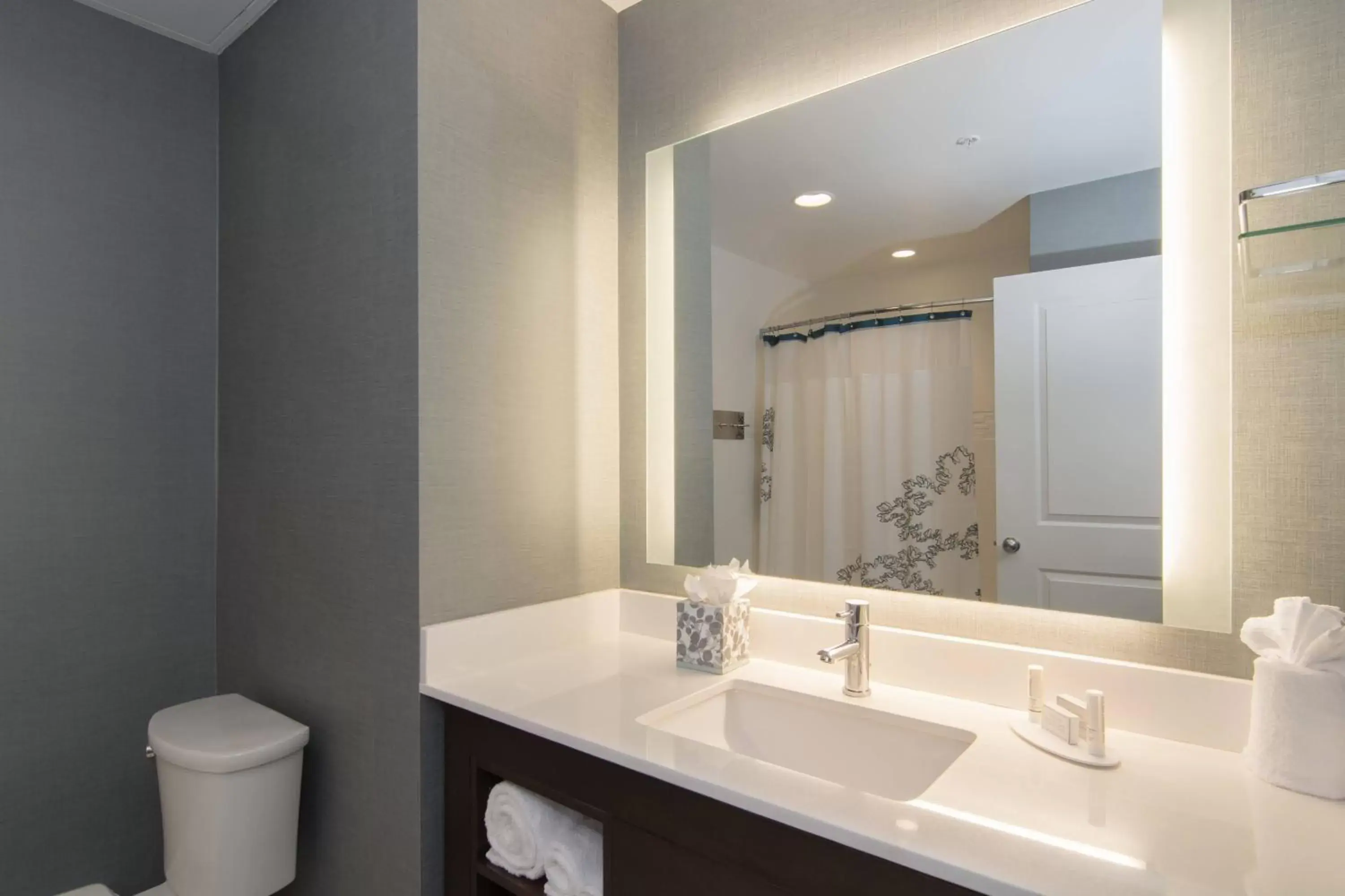 Bathroom in Residence Inn Raleigh-Durham Airport/Brier Creek