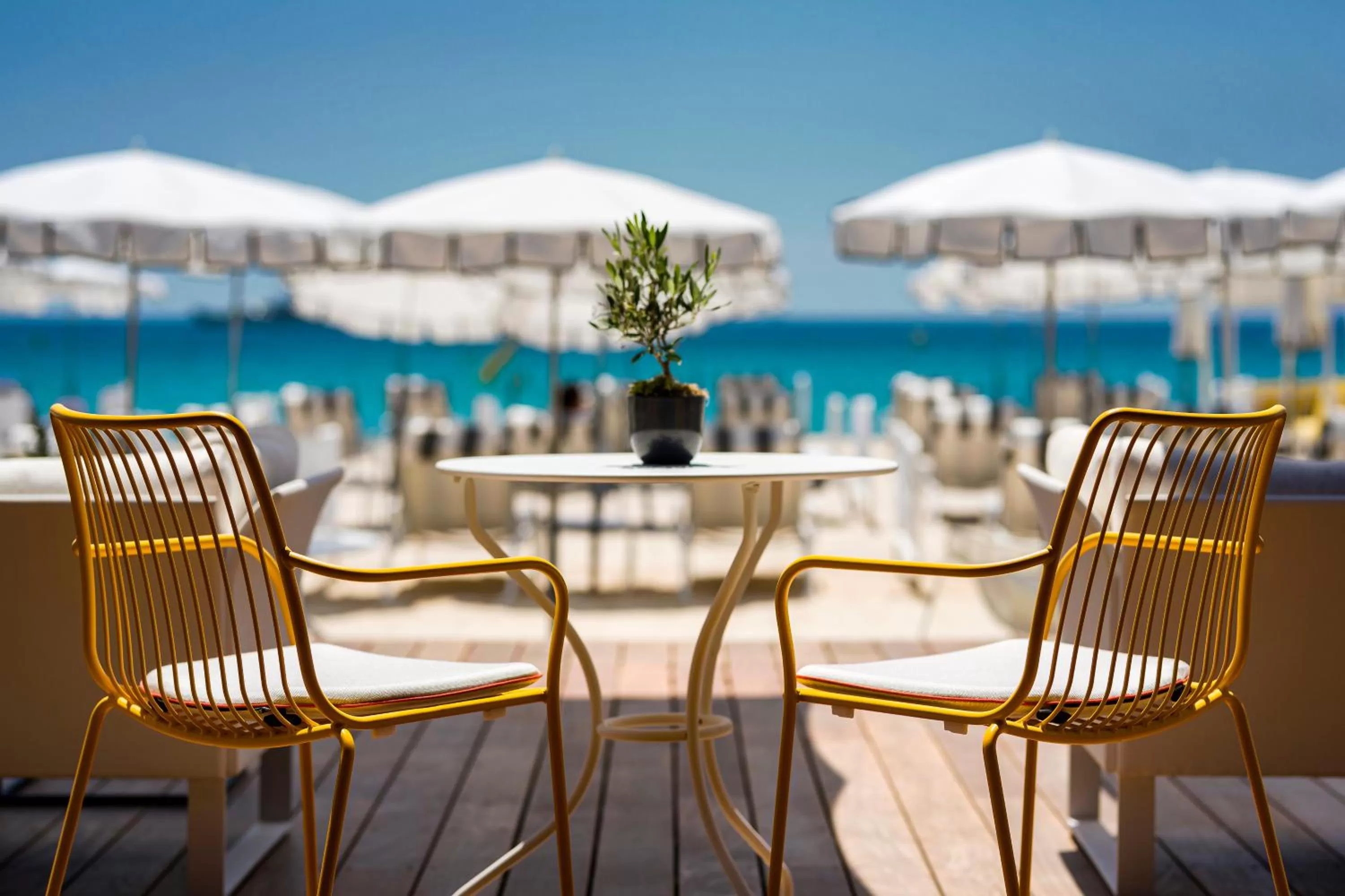 Restaurant/places to eat in Carlton Cannes, a Regent Hotel