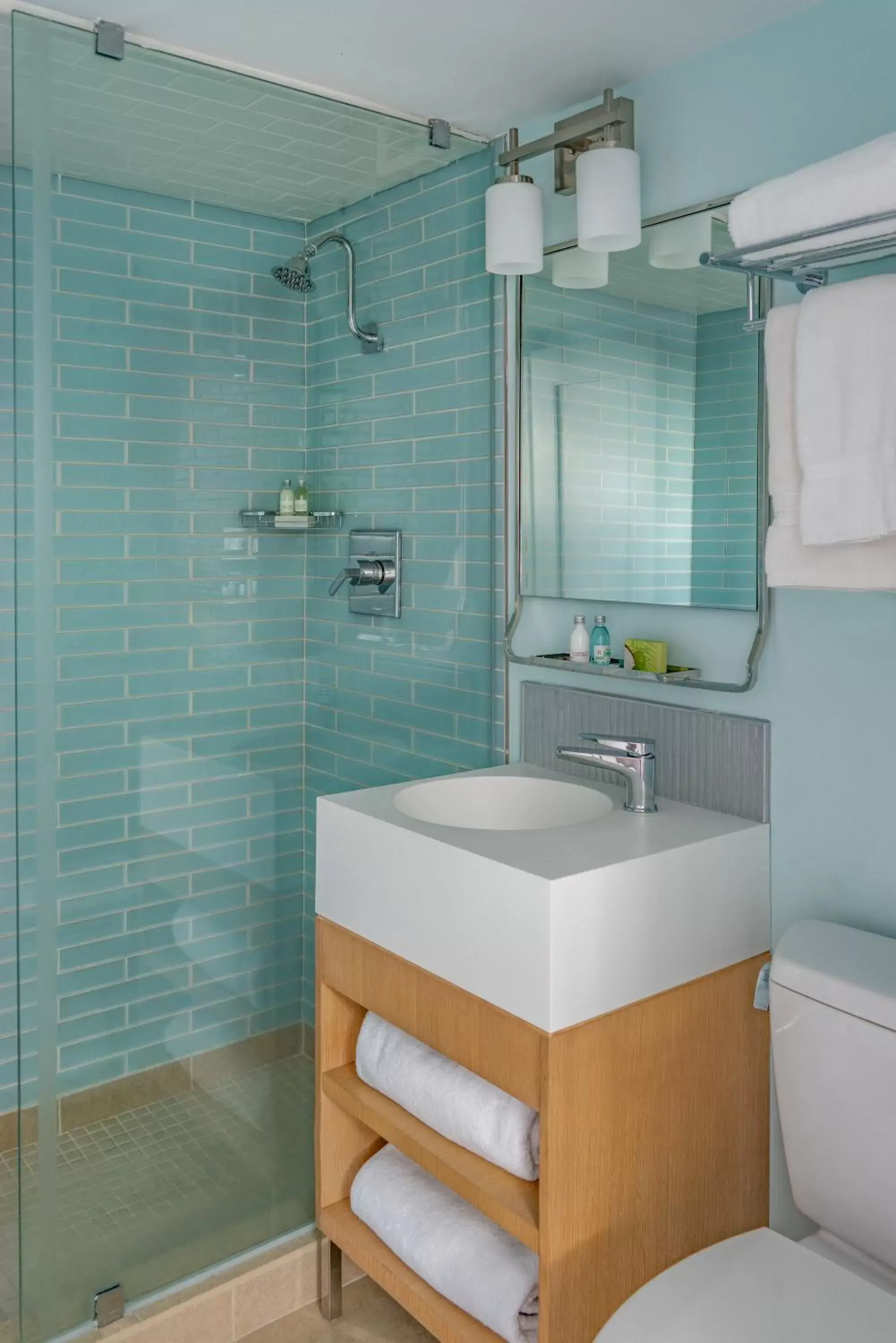 Shower, Bathroom in Harvard Square Hotel