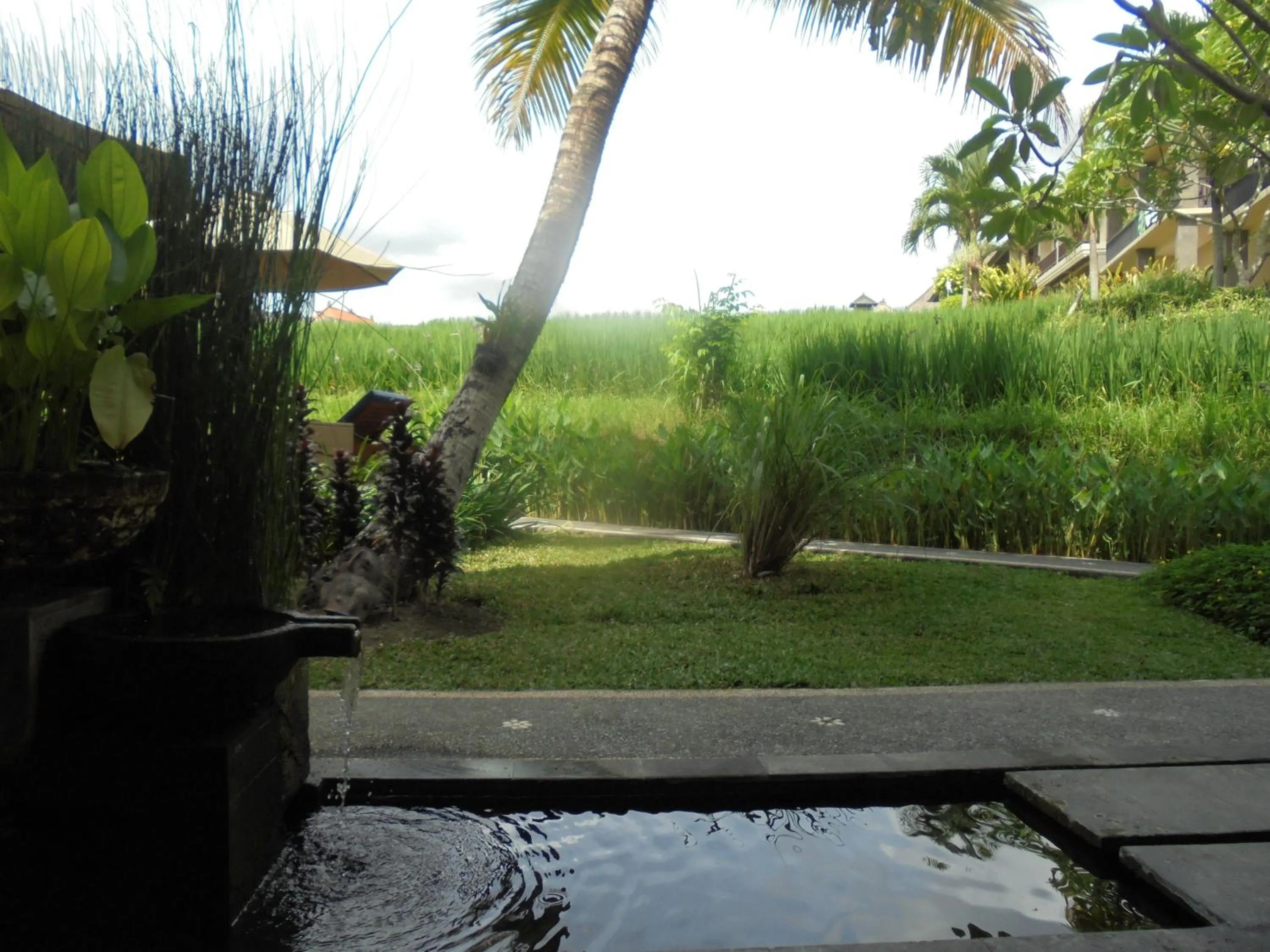 Garden view in Biyukukung Suite & Spa