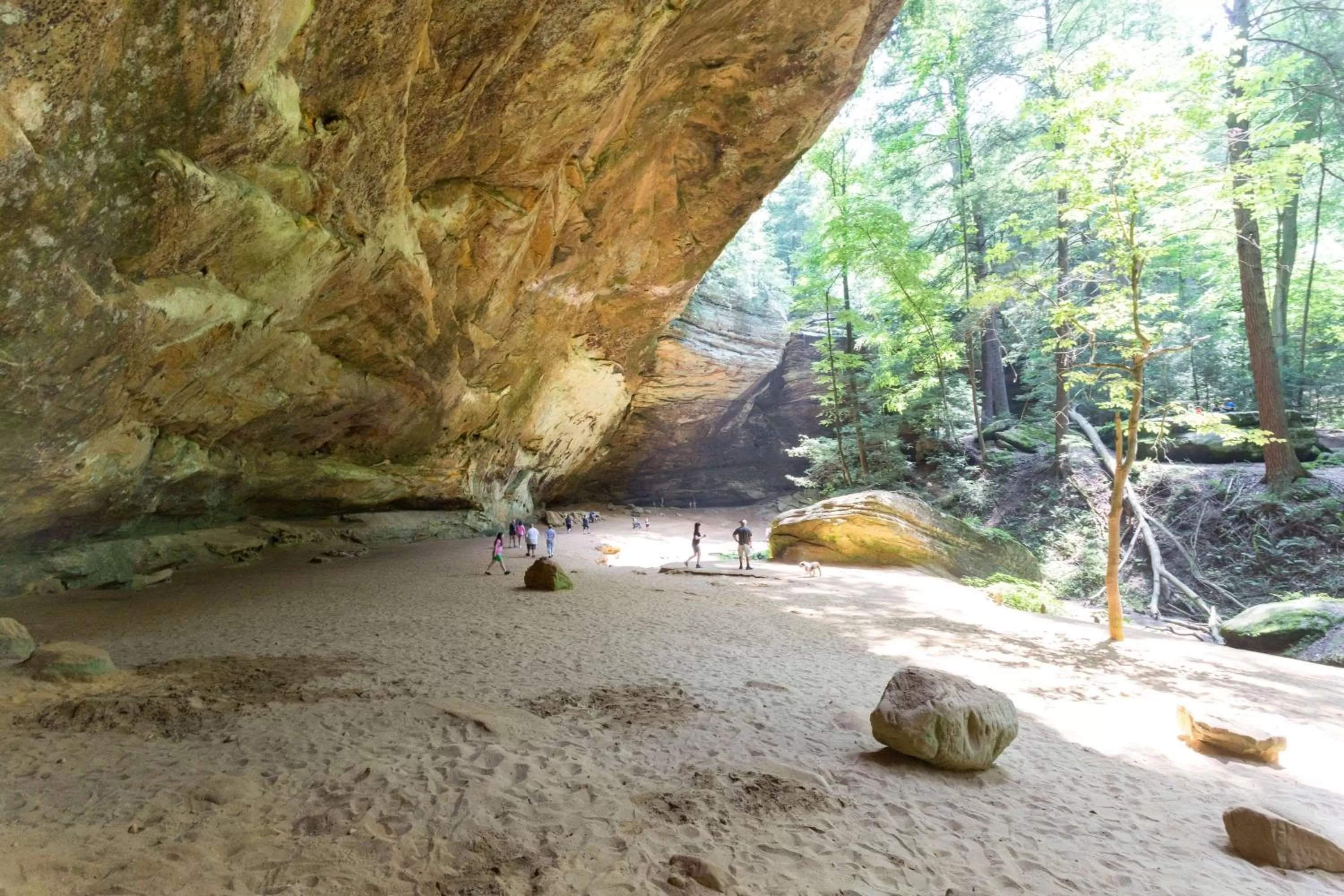 Off site in Super 8 by Wyndham Athens