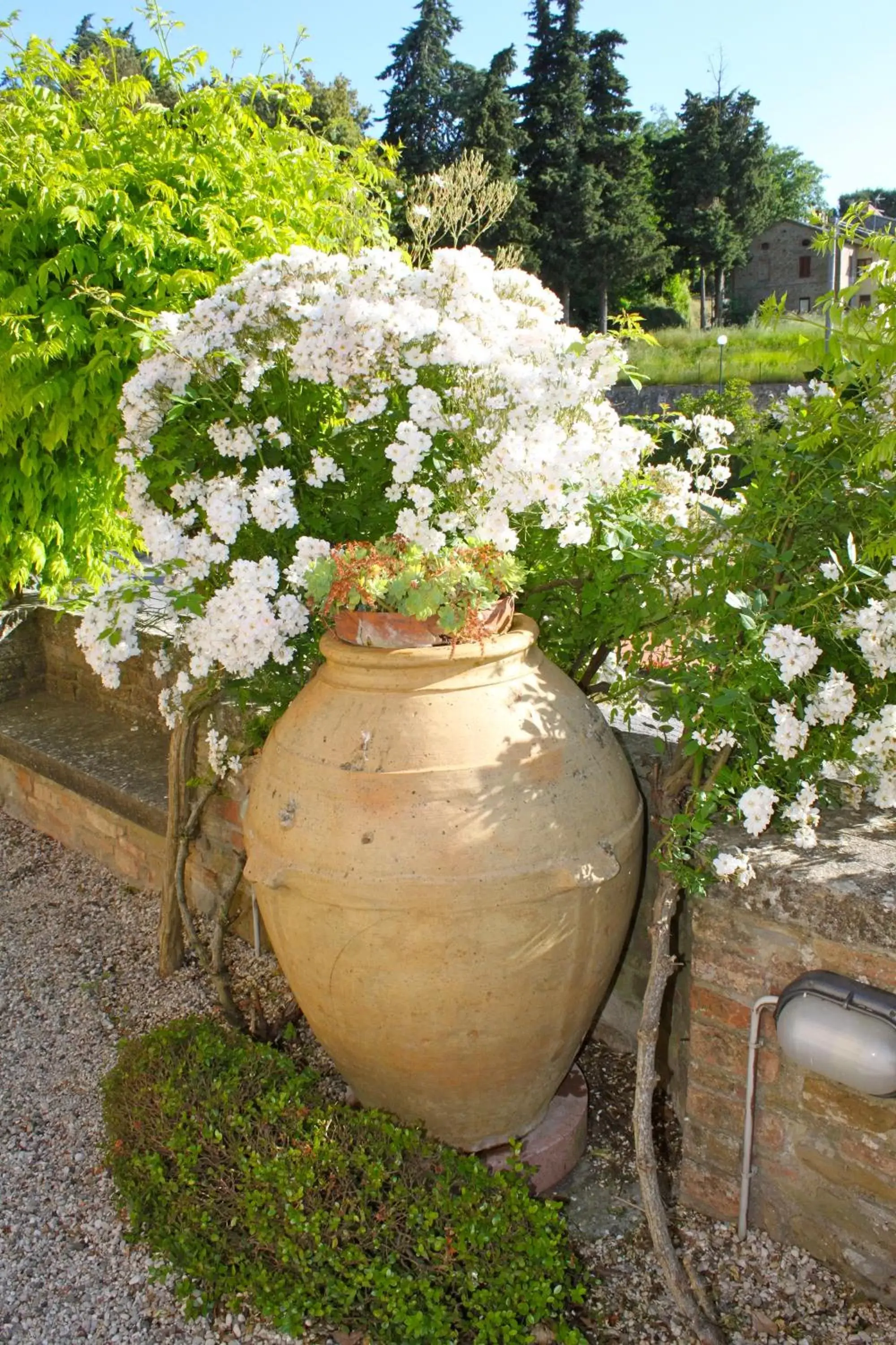 Garden in Relais Mastro Cinghiale