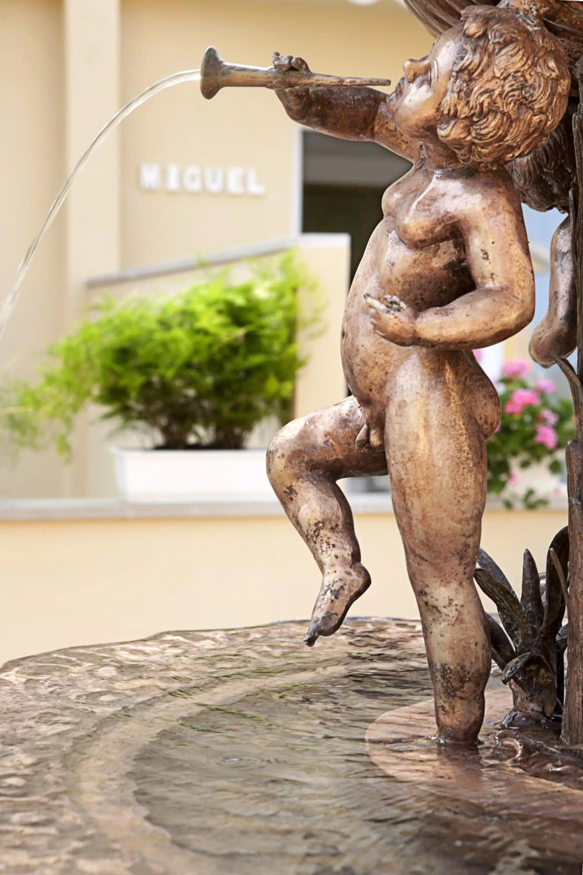 Garden in Hotel Cupidor