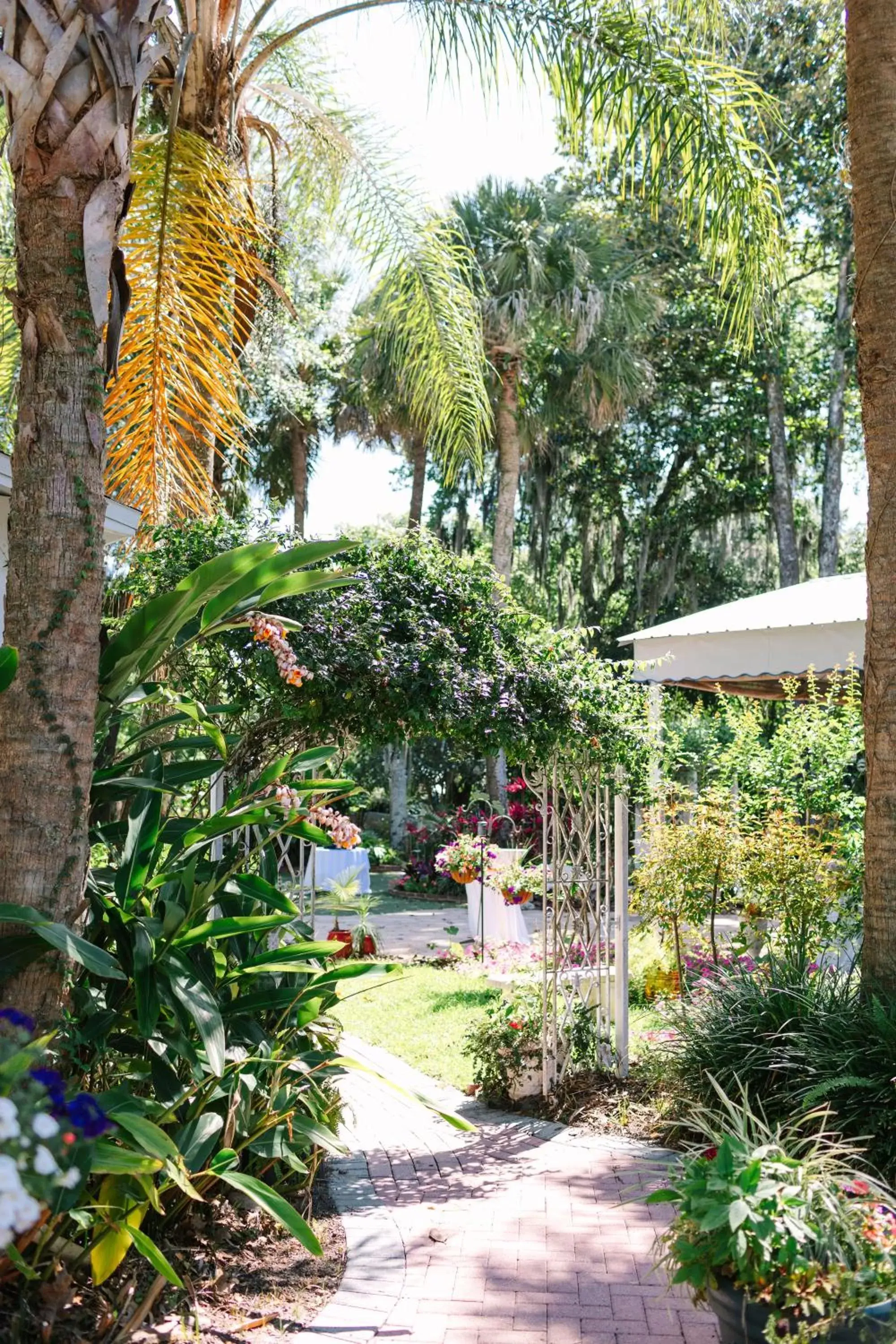 Garden in Sweetwater Branch Inn