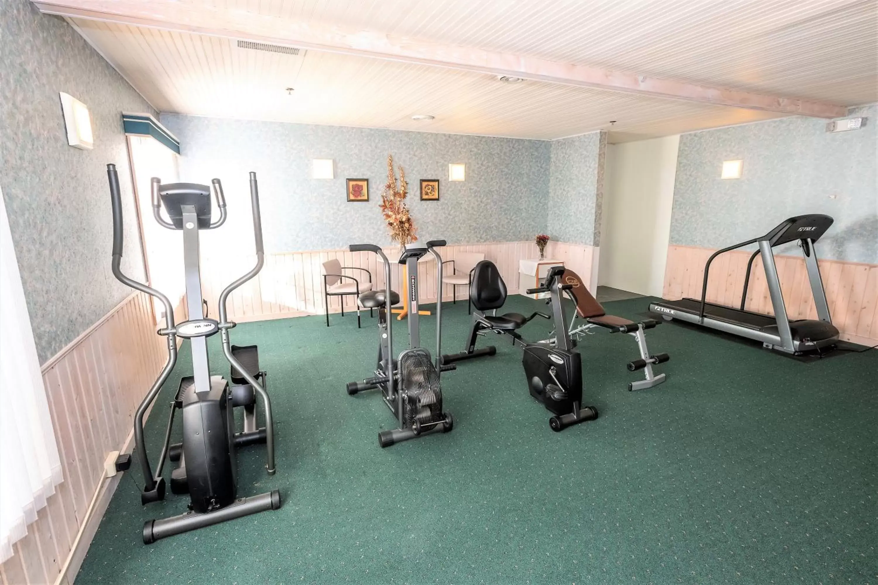 Fitness centre/facilities, Fitness Center/Facilities in Mountain Host Motor Inn