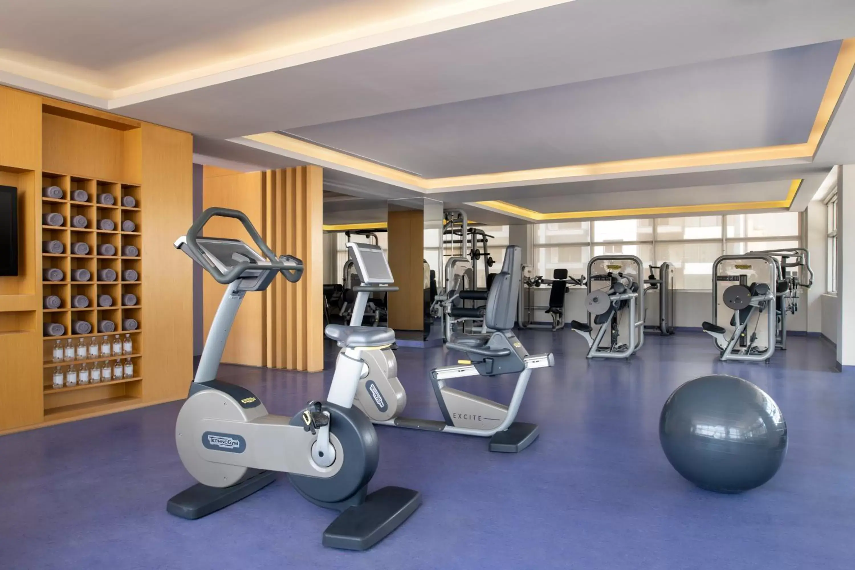 Fitness centre/facilities in Bristoria Hotel Erbil Fitness centre/facilities in Bristoria Hotel Erbil