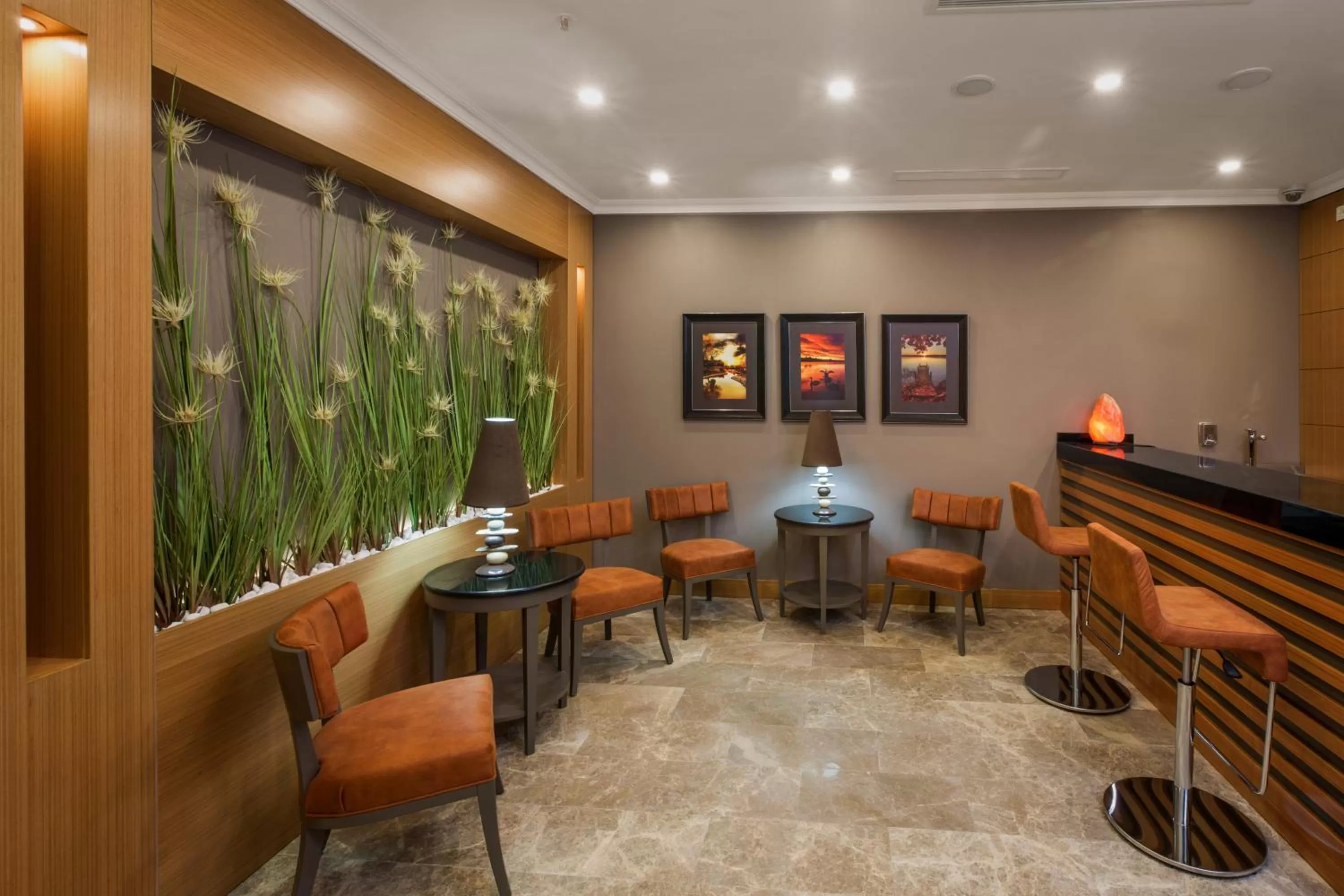 Communal lounge/ TV room in Ferman Hilal Hotel-Special Category