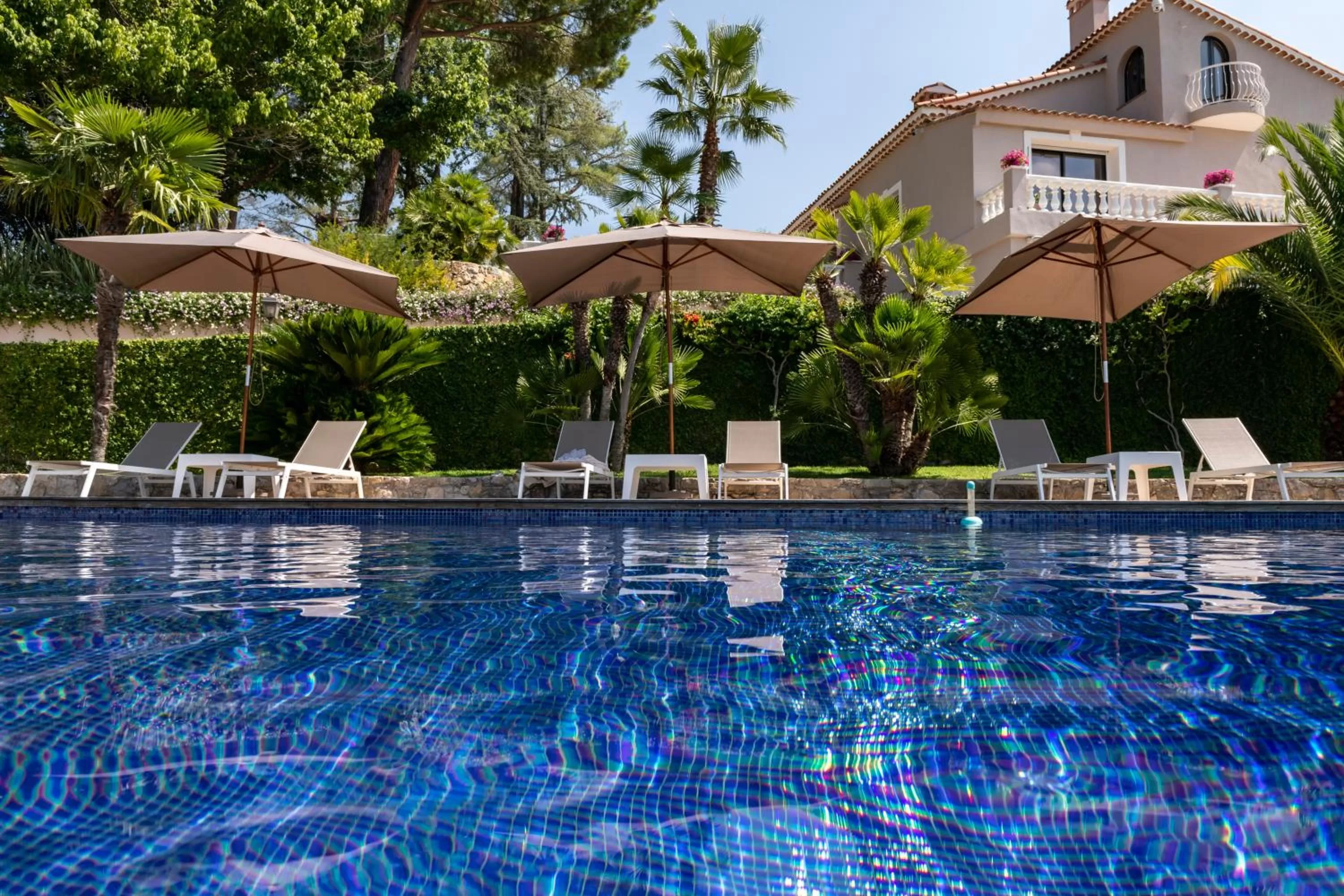 Swimming Pool in TERRE DE REVE