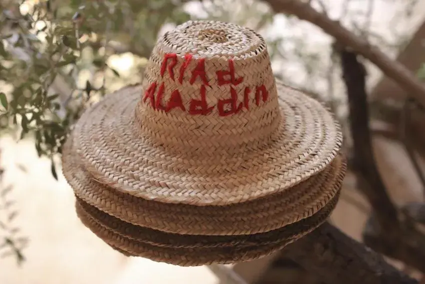 Garden in Riad Aladdin