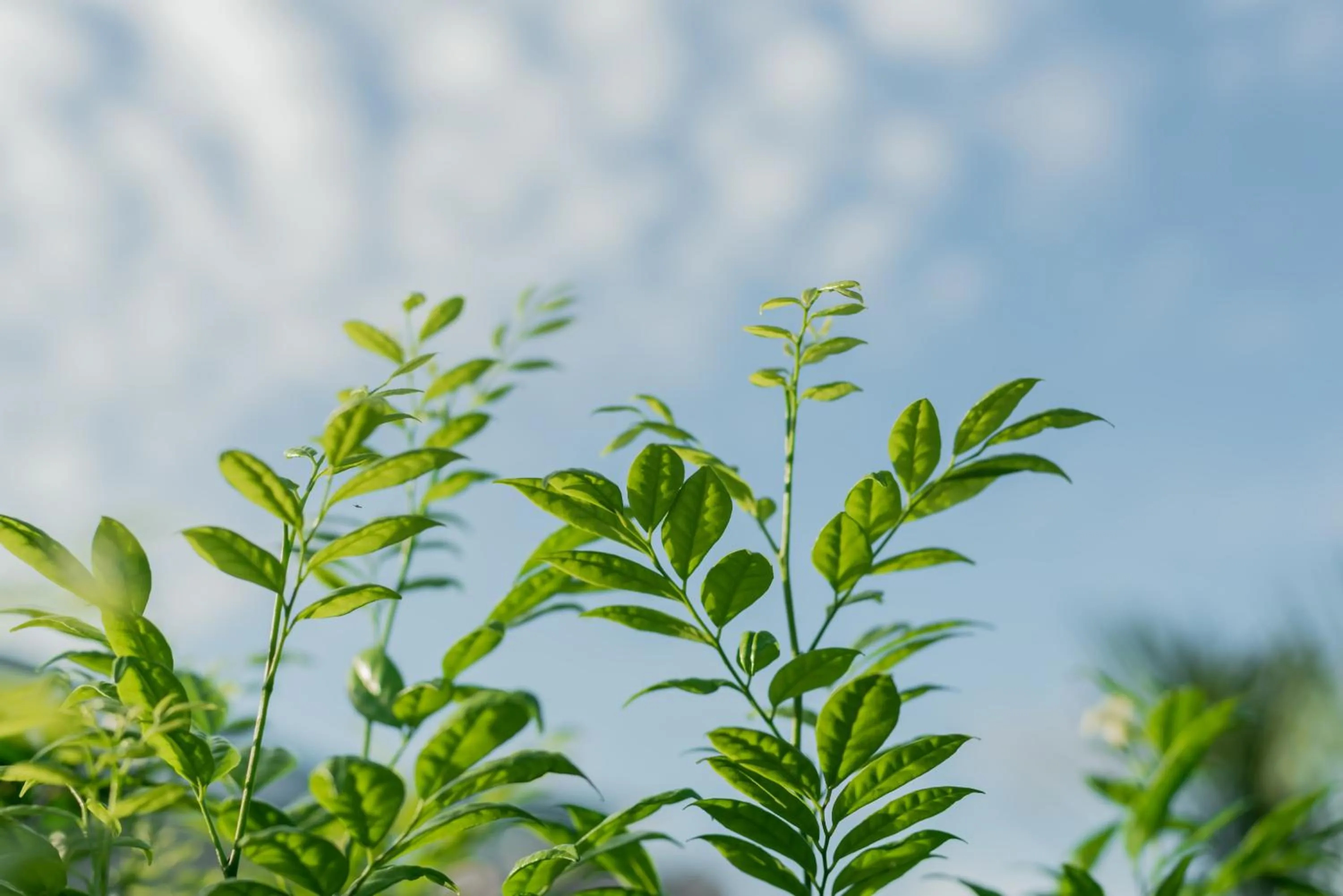 Bunk & Bilik Hotel Jalan Ipoh