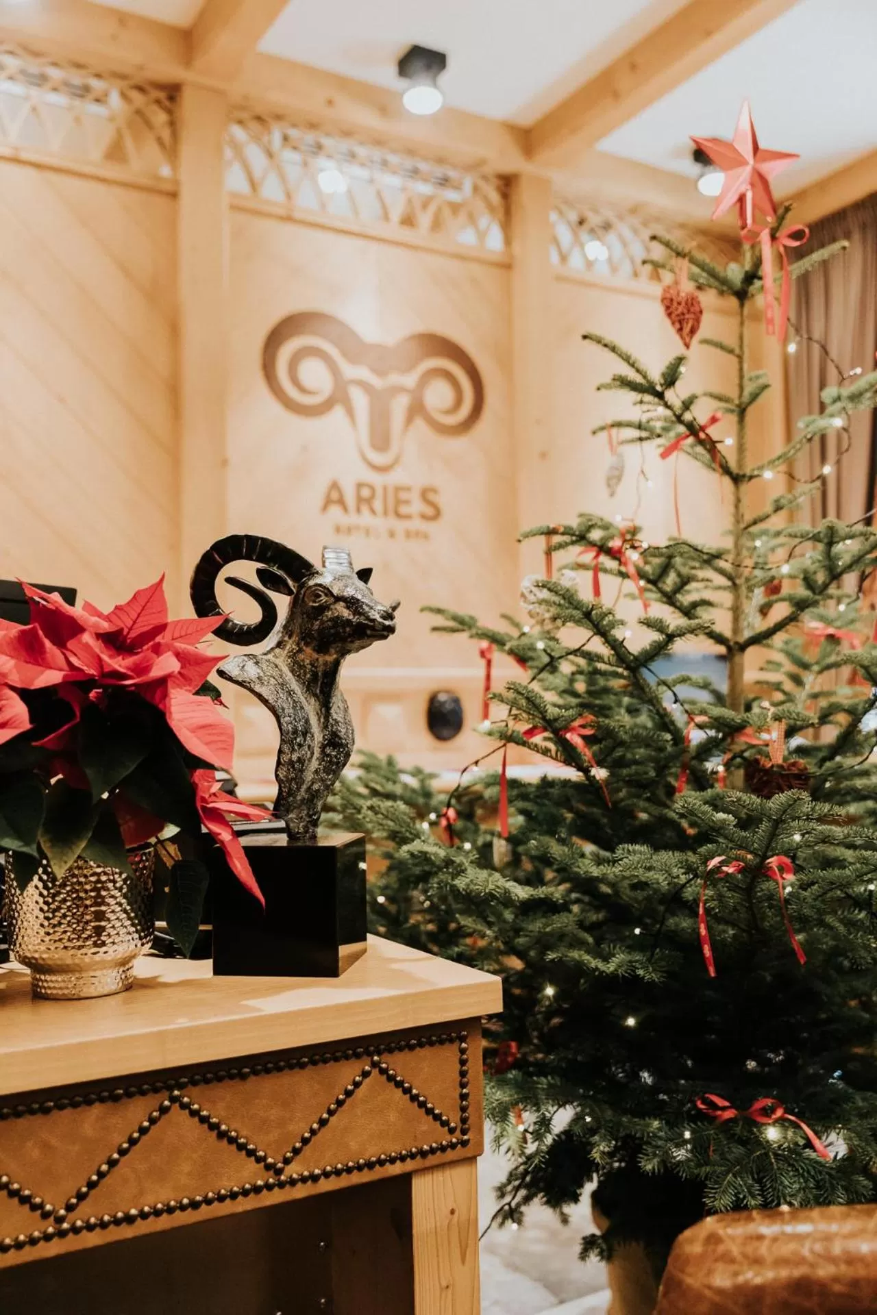 Lobby or reception in Aries Hotel & SPA Wisła