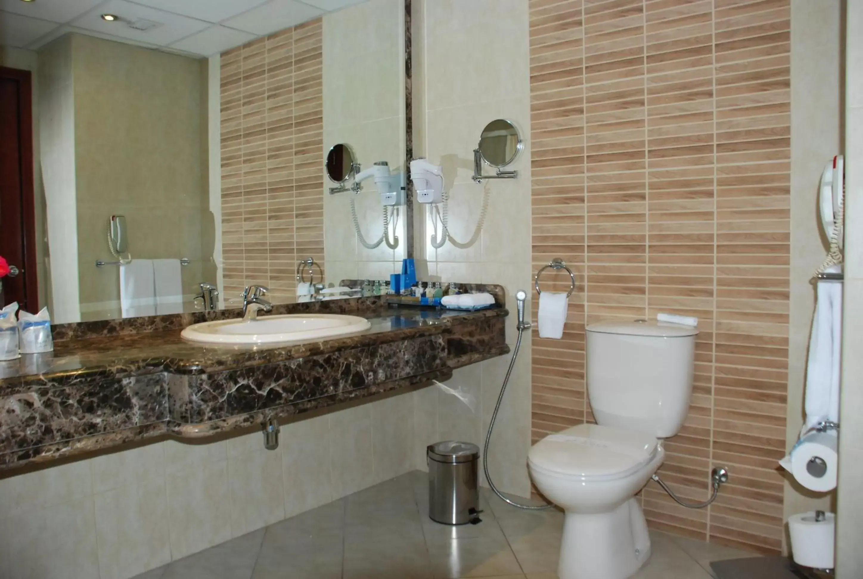 Bathroom in Safir Hotel Cairo
