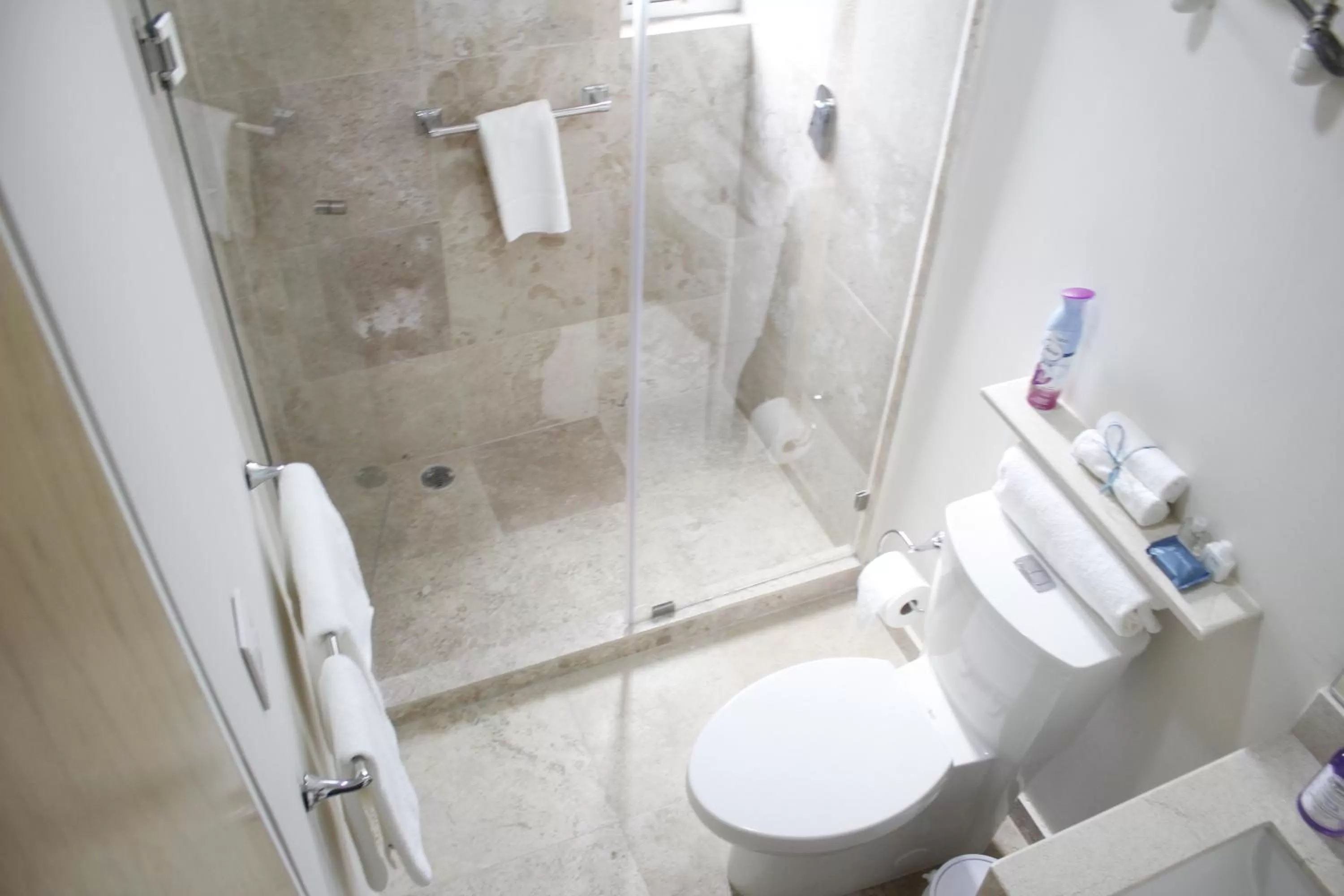 Toilet in Hotel Casa Condesa Michoacan 113