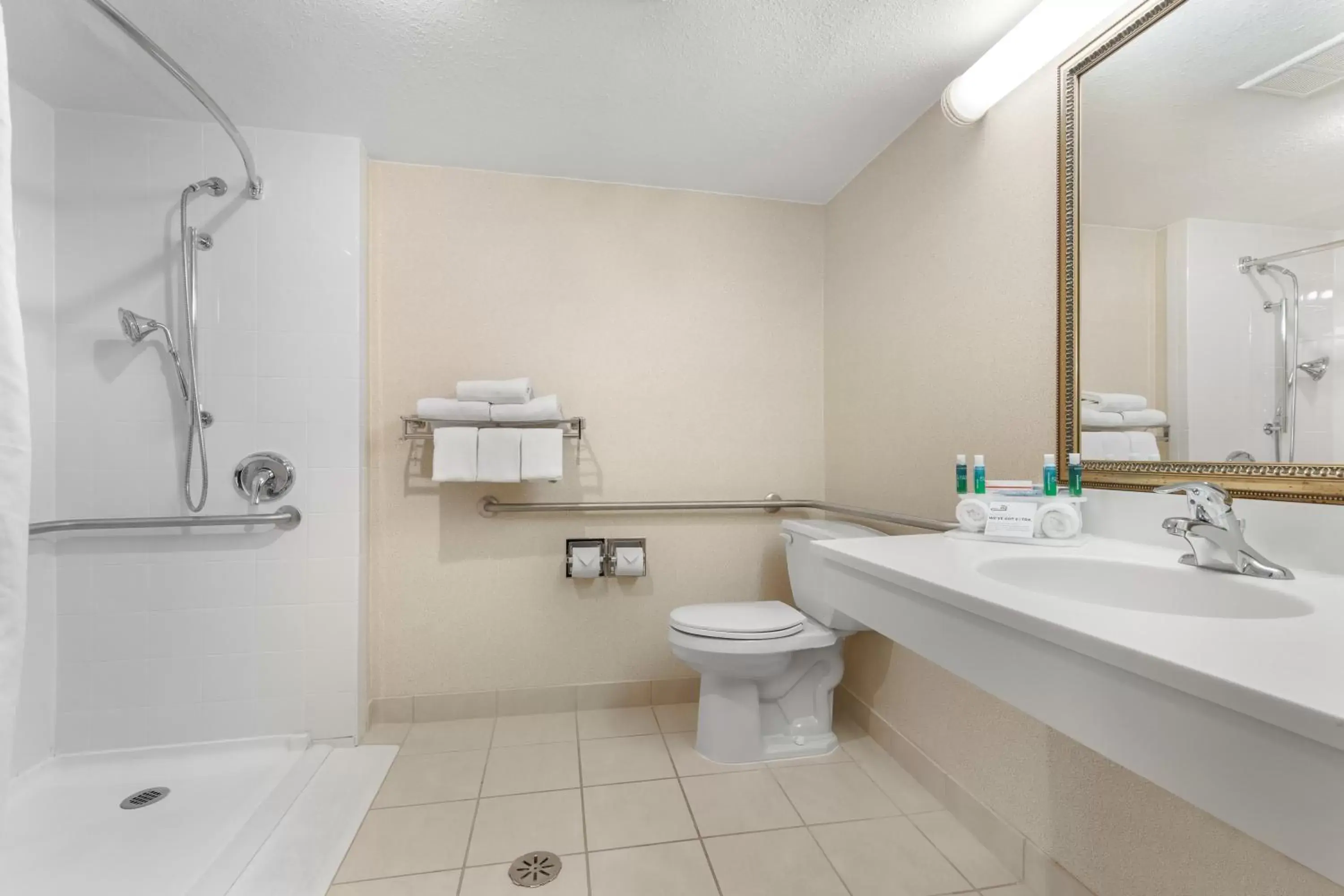 Photo of the whole room, Bathroom in Holiday Inn Express Chicago-Downers Grove, an IHG Hotel