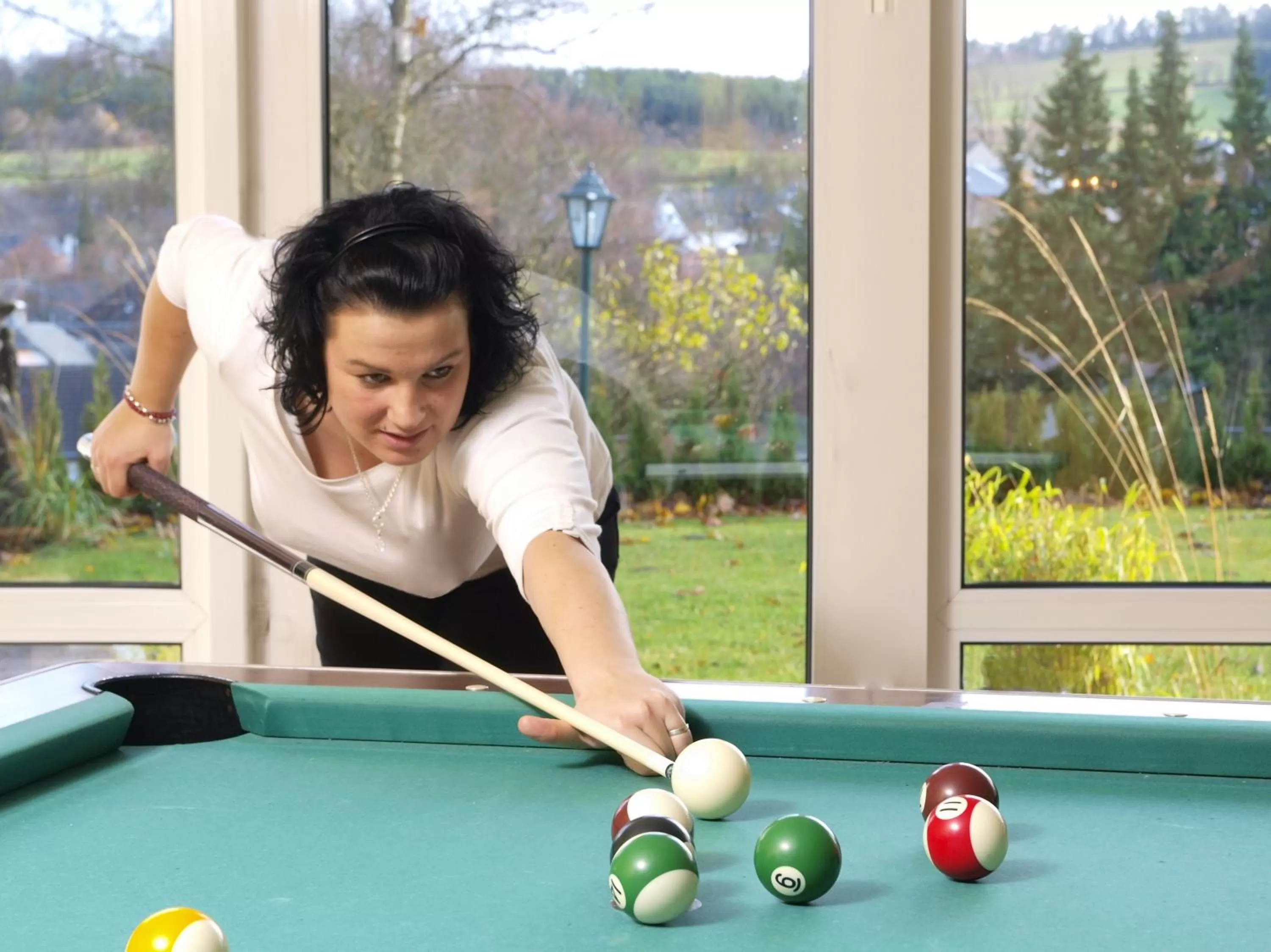 Billiard in Landhotel Henkenhof Willingen