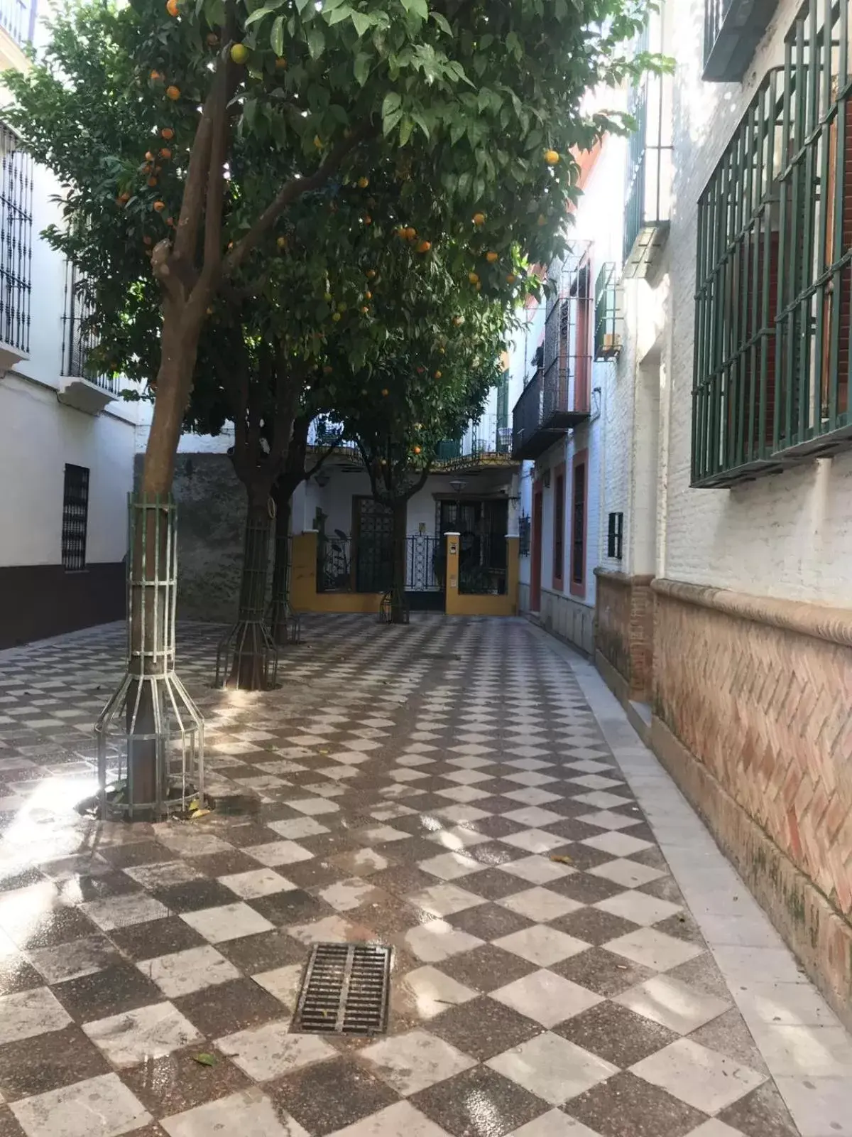 Street view in Apartamentos Flamenco B&B