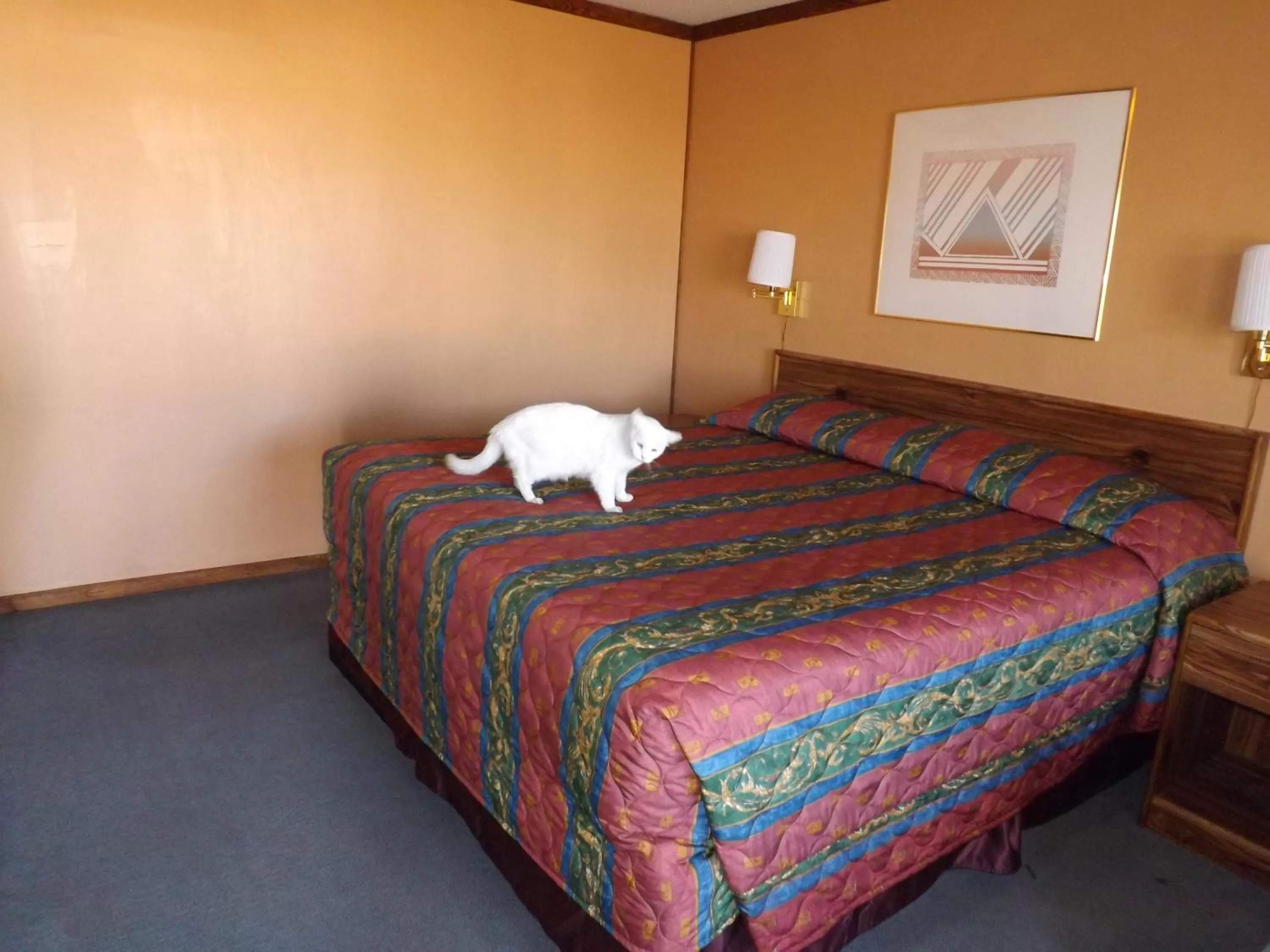 Bed in Tristar Inn Xpress